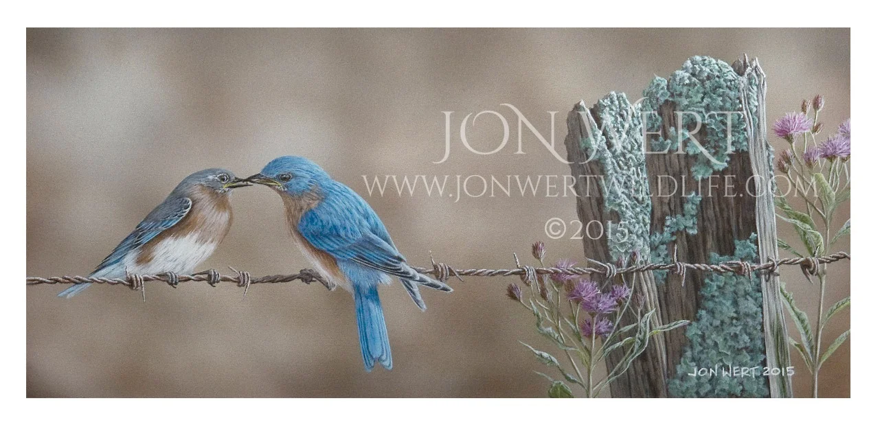 Bird-on-Wire-1200px copy.jpg