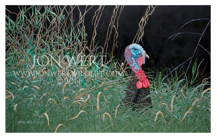 Glimpse of a Gobbler