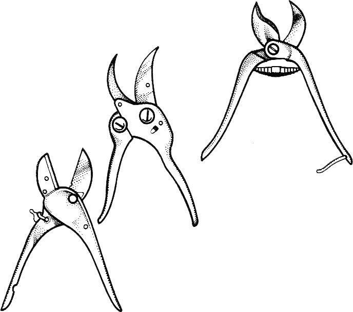 prune_tools1.jpg