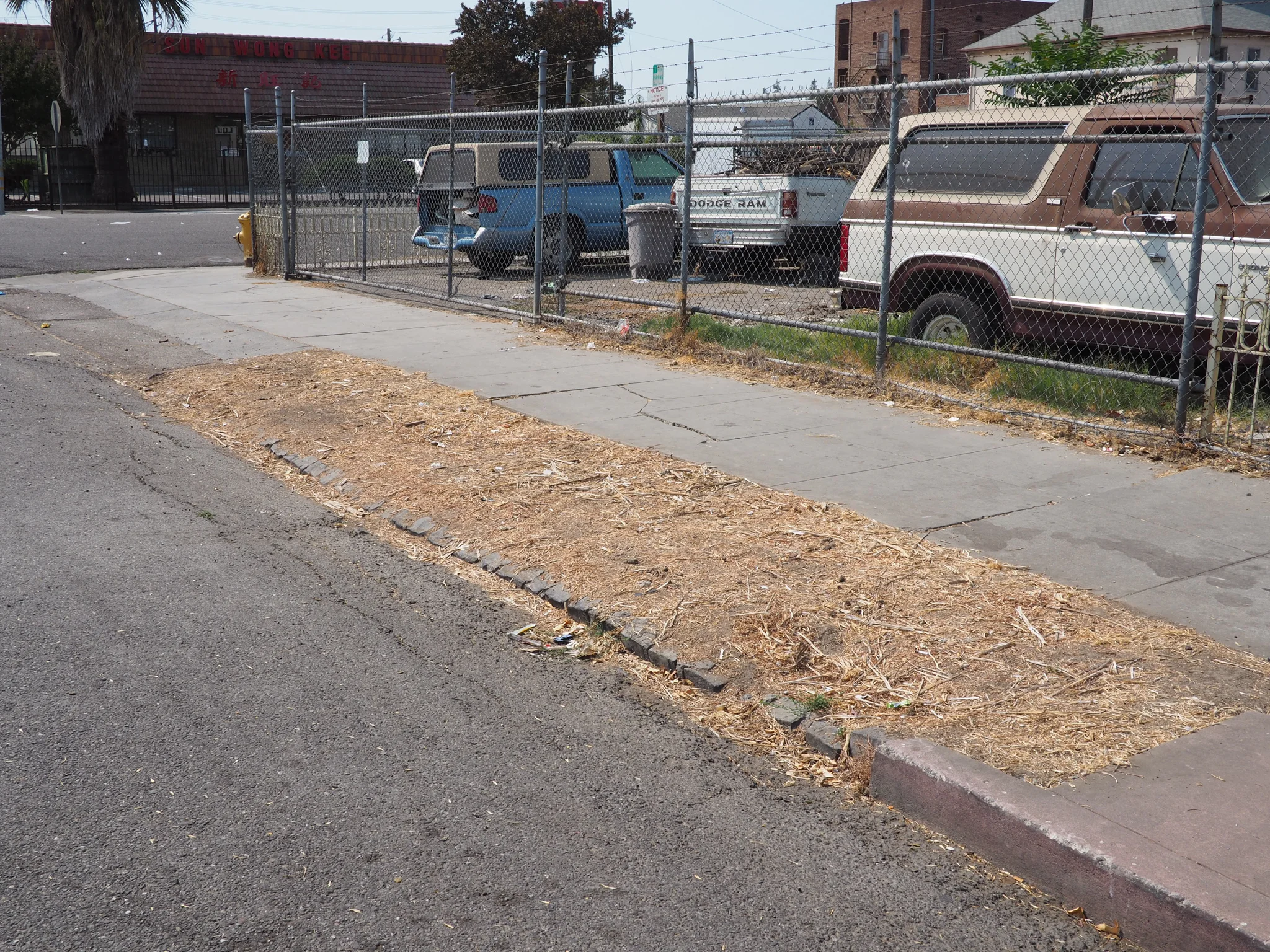 The poorest communities in California are also the most environmentally unhealthy. With the highest population ratio of asthma related health issues in California, growing trees in the neighborhood is the best long-term solution.