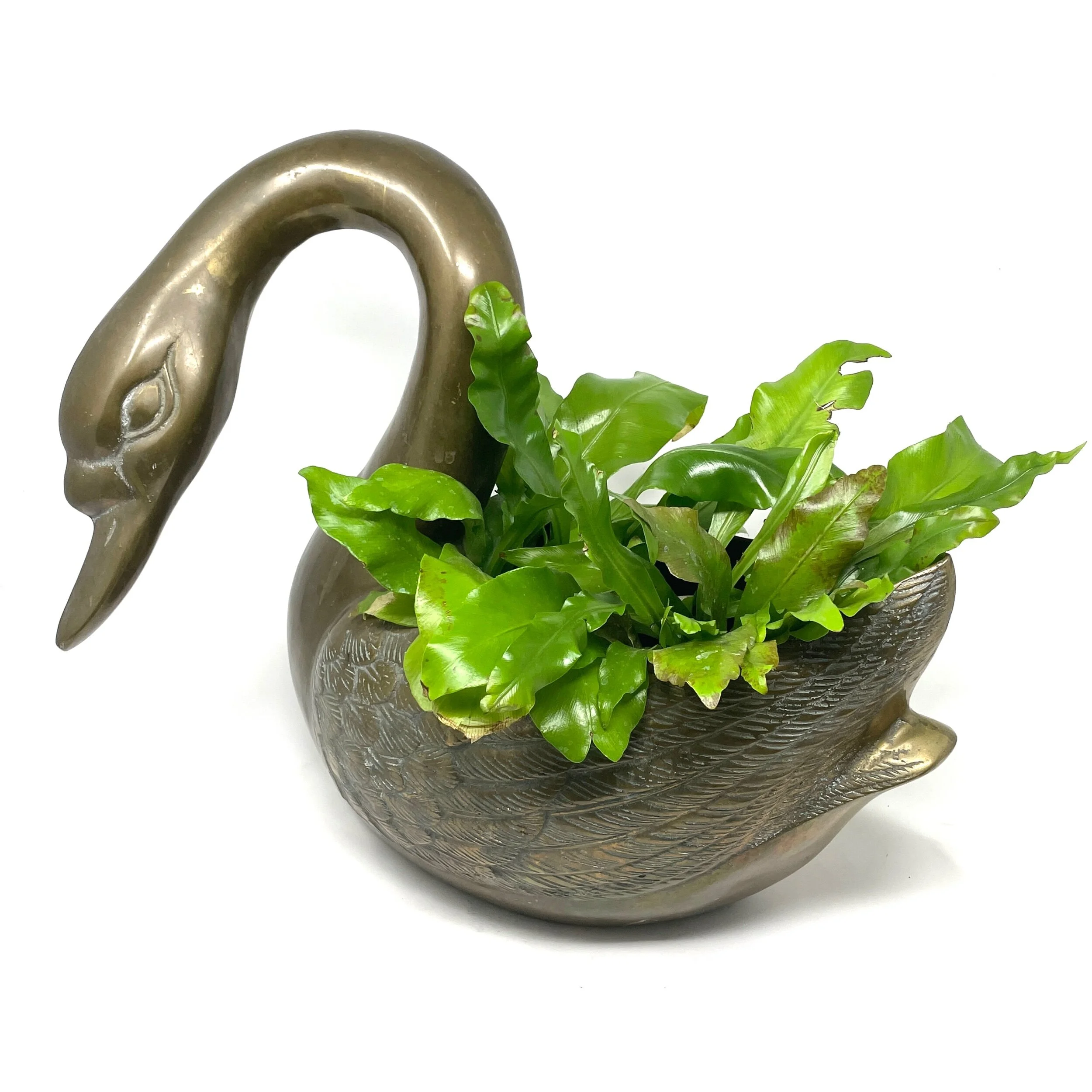 3D297D50-C9BA-4099-BDEA-86E658A0C655