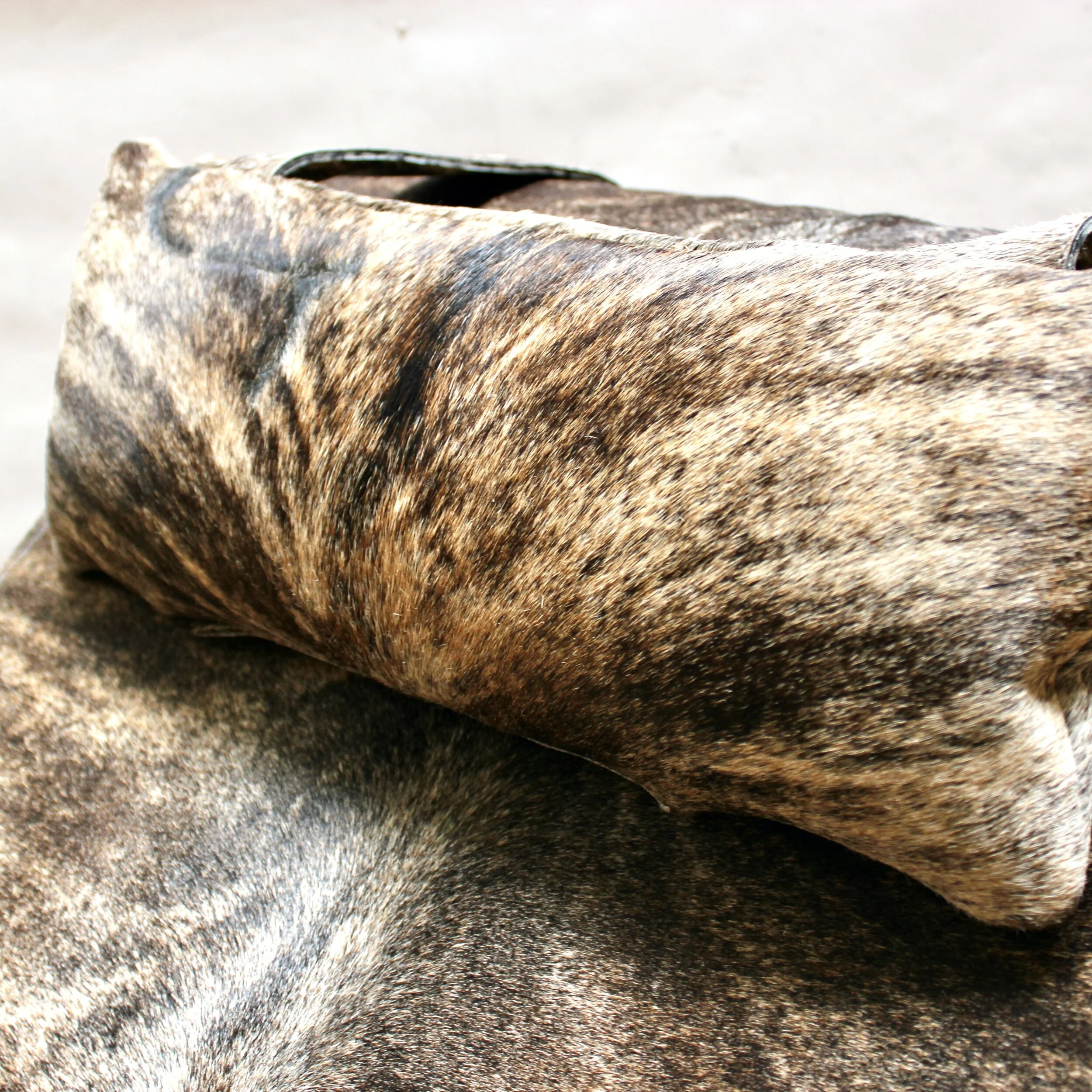 29A56542-57D9-4656-9B6F-6F30EAA52D9D