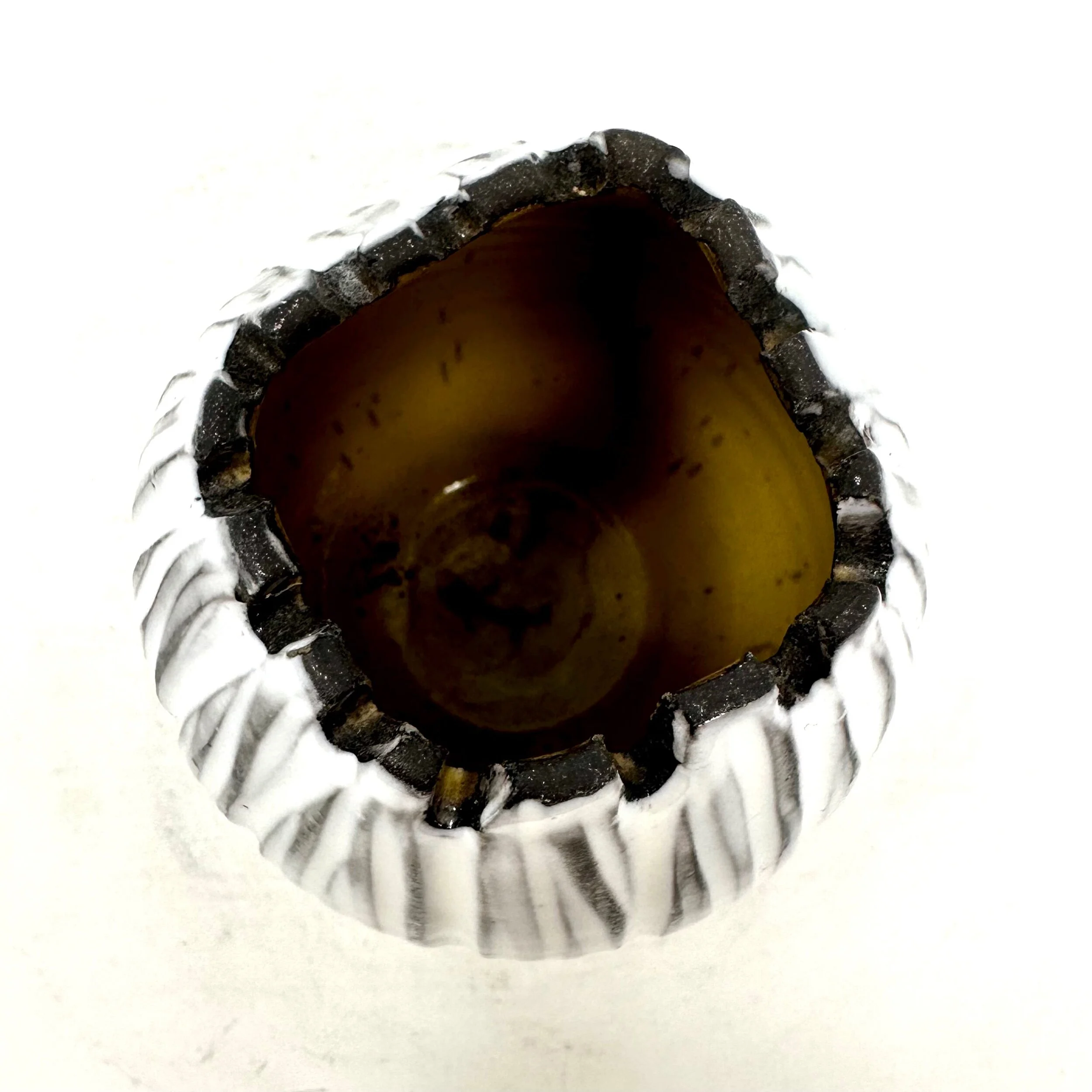 4D26D121-BFE0-4E64-85B1-70C8F845140B