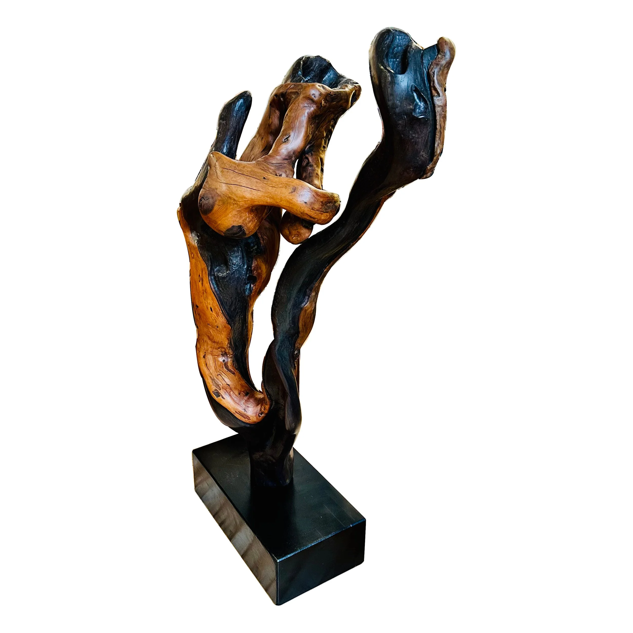 burl3.jpg