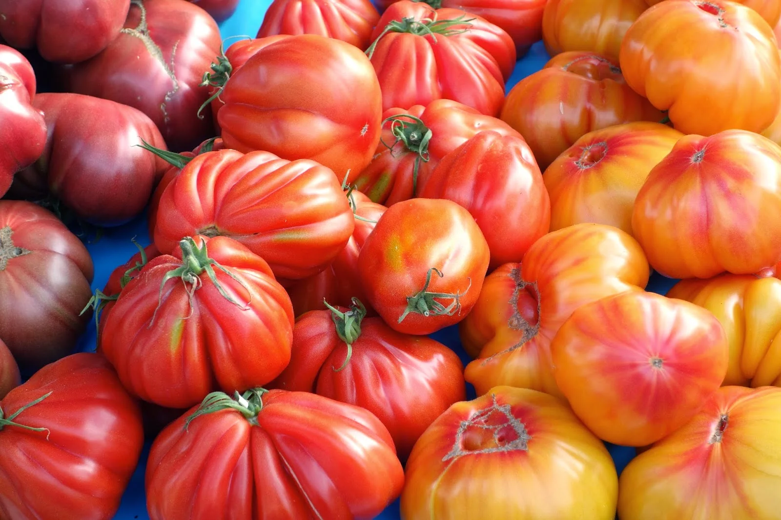 heirloom-tomatoes.JPG