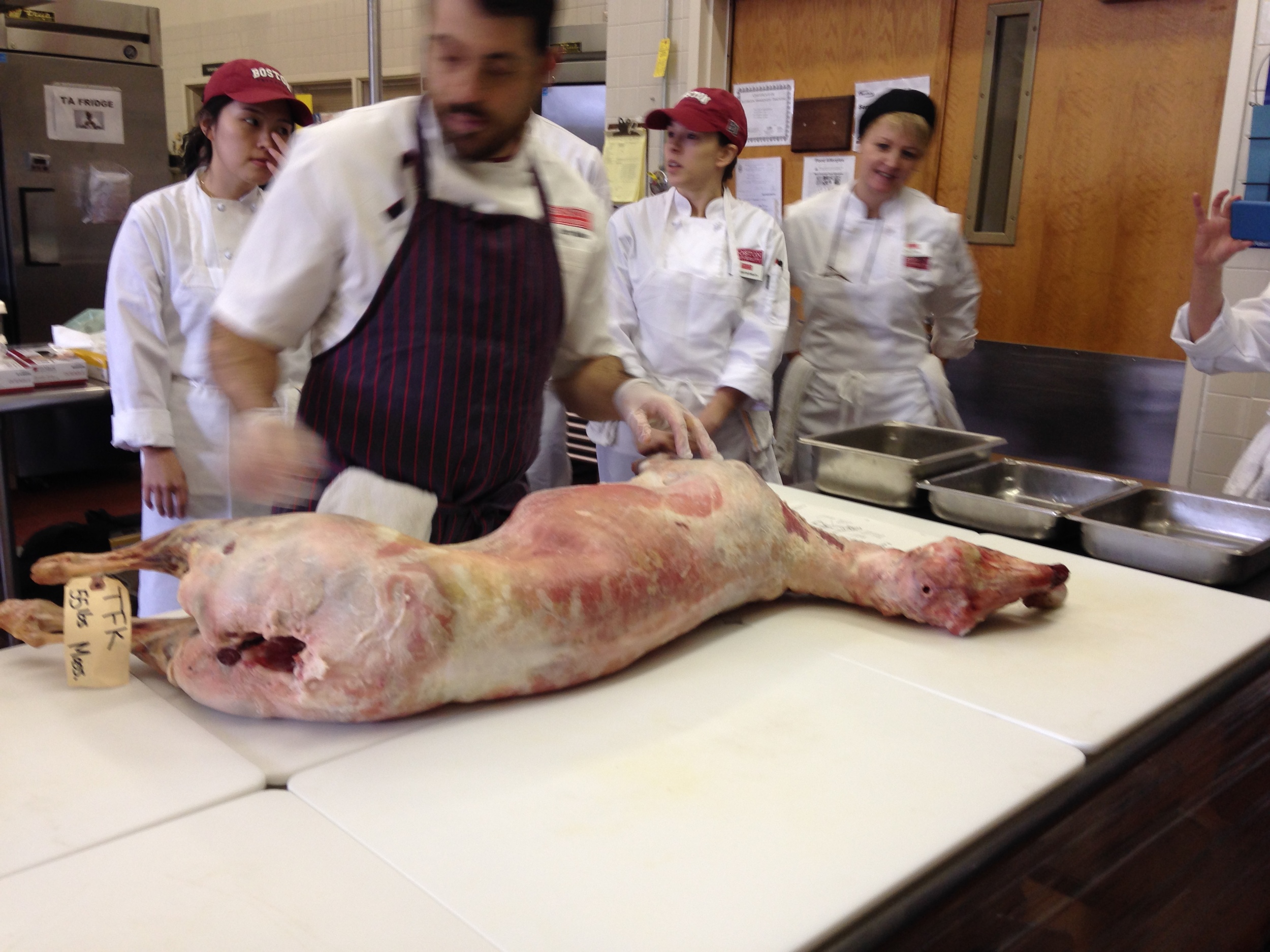 At first, students were hesitant to get too close to "Mr. Lamb".