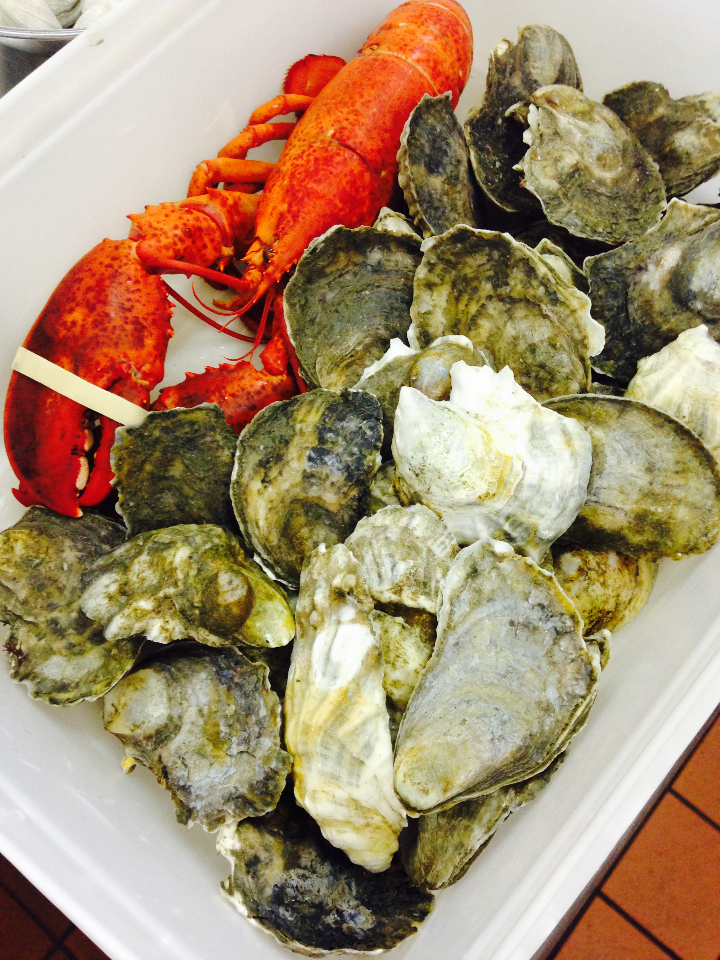 The oysters were from Island Creek Oyster Farm. No surprise there!