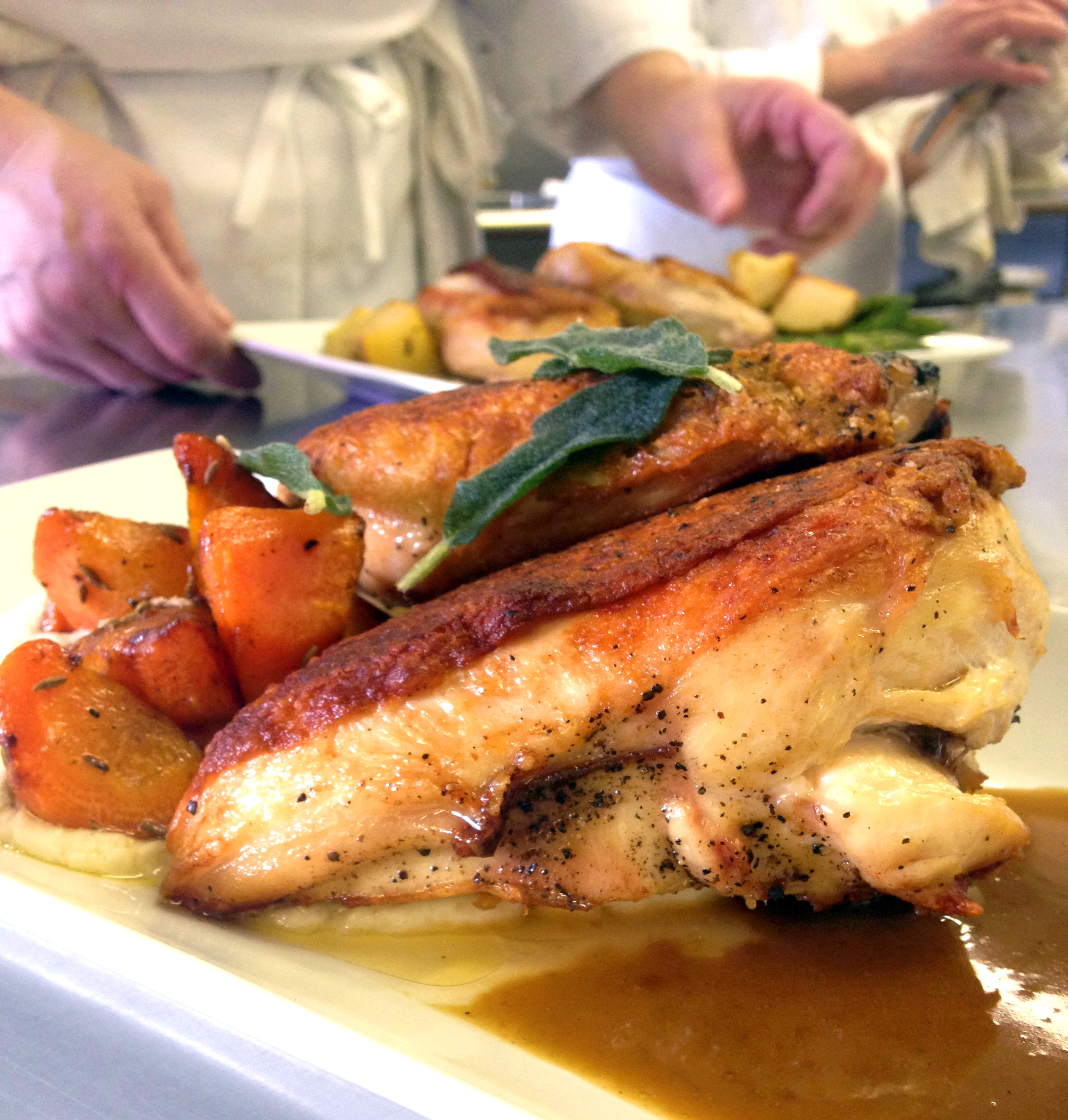 Not the best angle, but here's my pan-roasted chicken with jus, parsnip puree, and roasted carrots