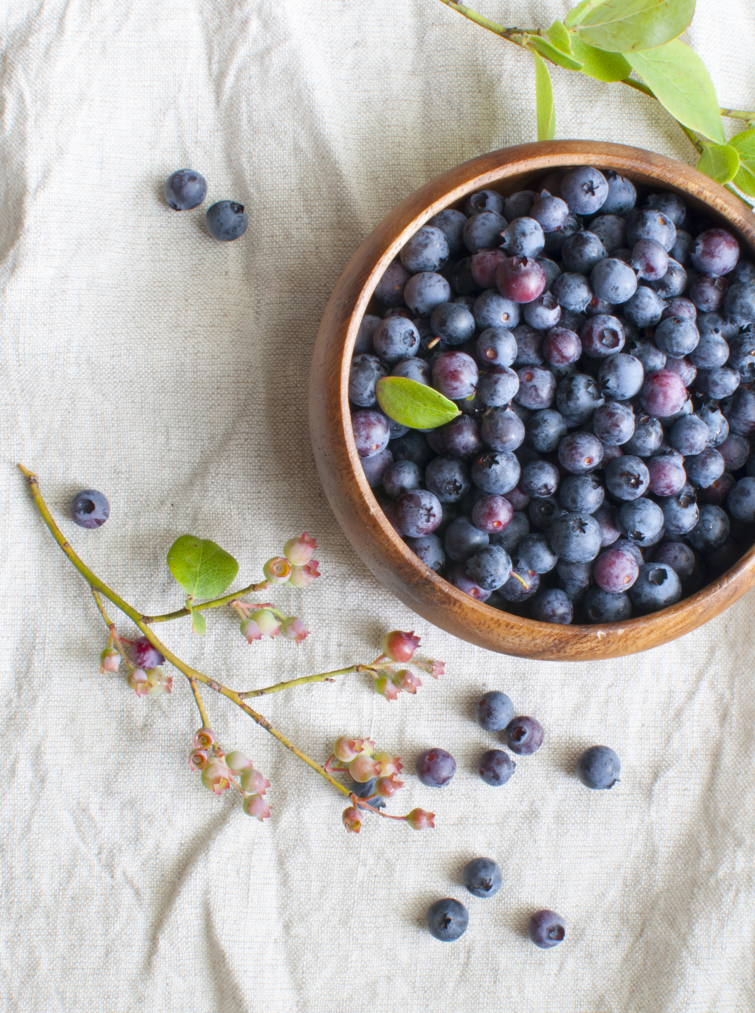 Just a small portion of our berry windfall
