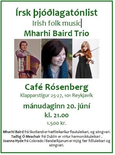 Gig in Reykjavik