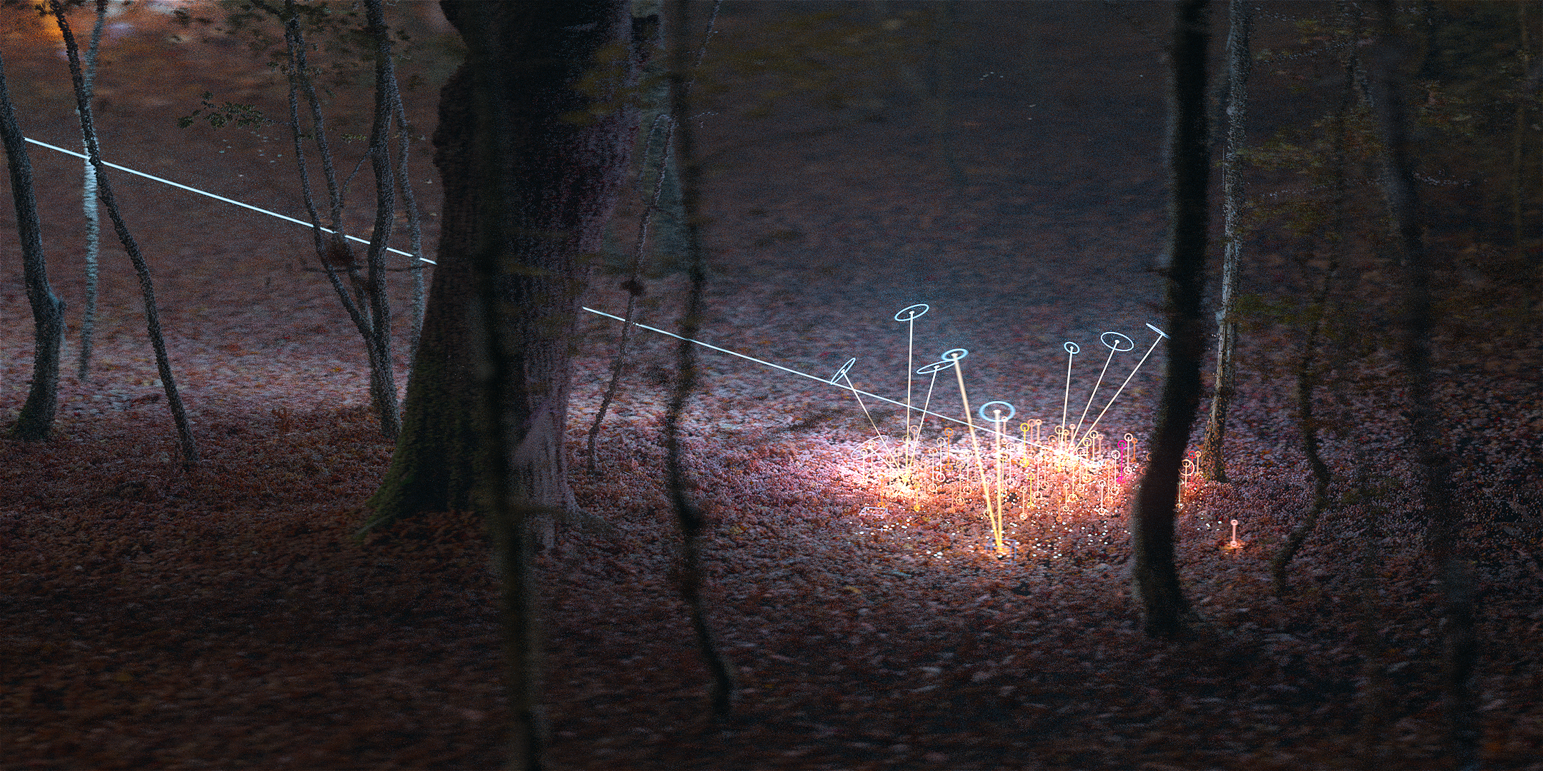 A_Conversation_Between_Trees_DH45.3.S06.HQ_Stills_Landscape.1598 (00000).png