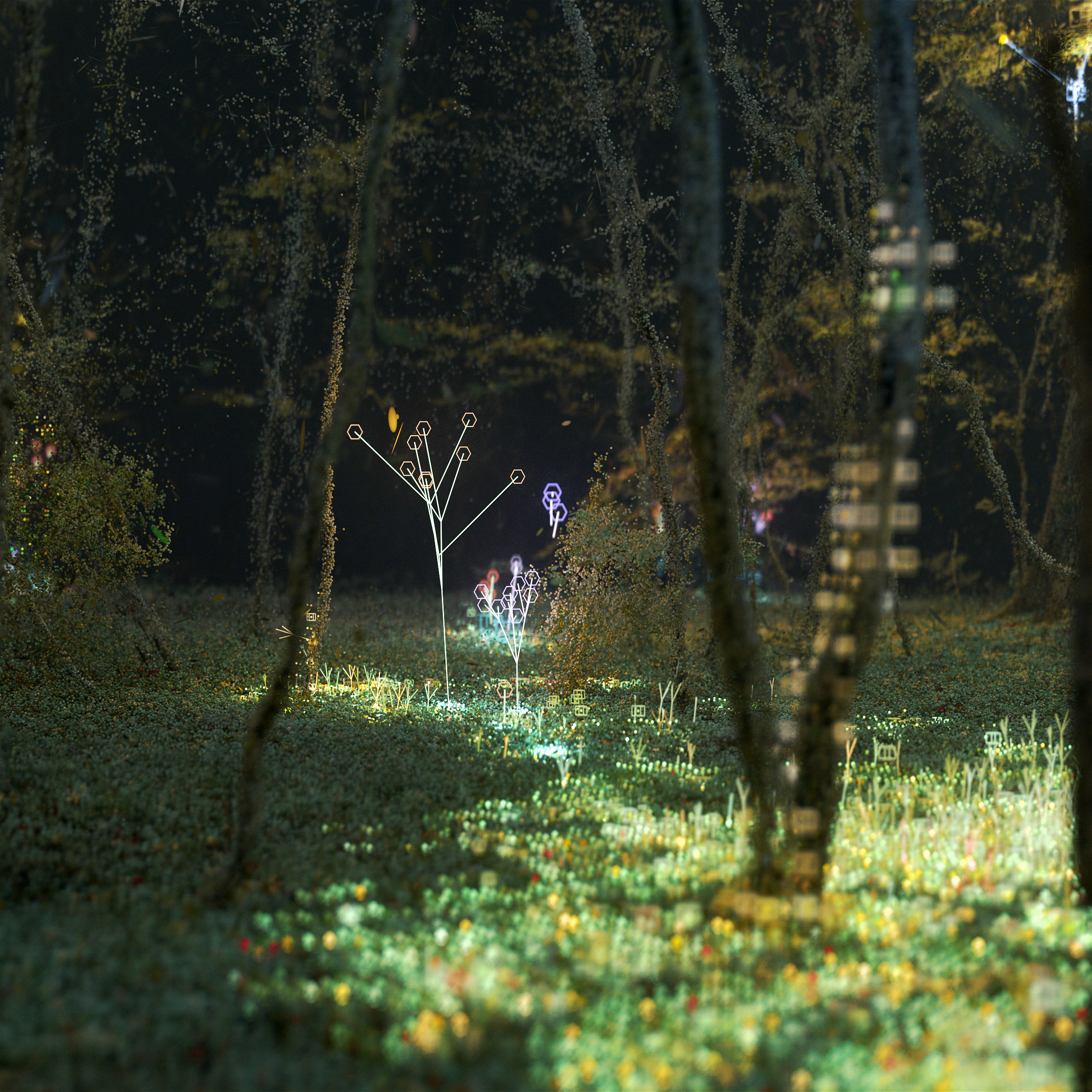A_Conversation_Between_Trees_F_S06_End.Square_01.0933 (00000).png