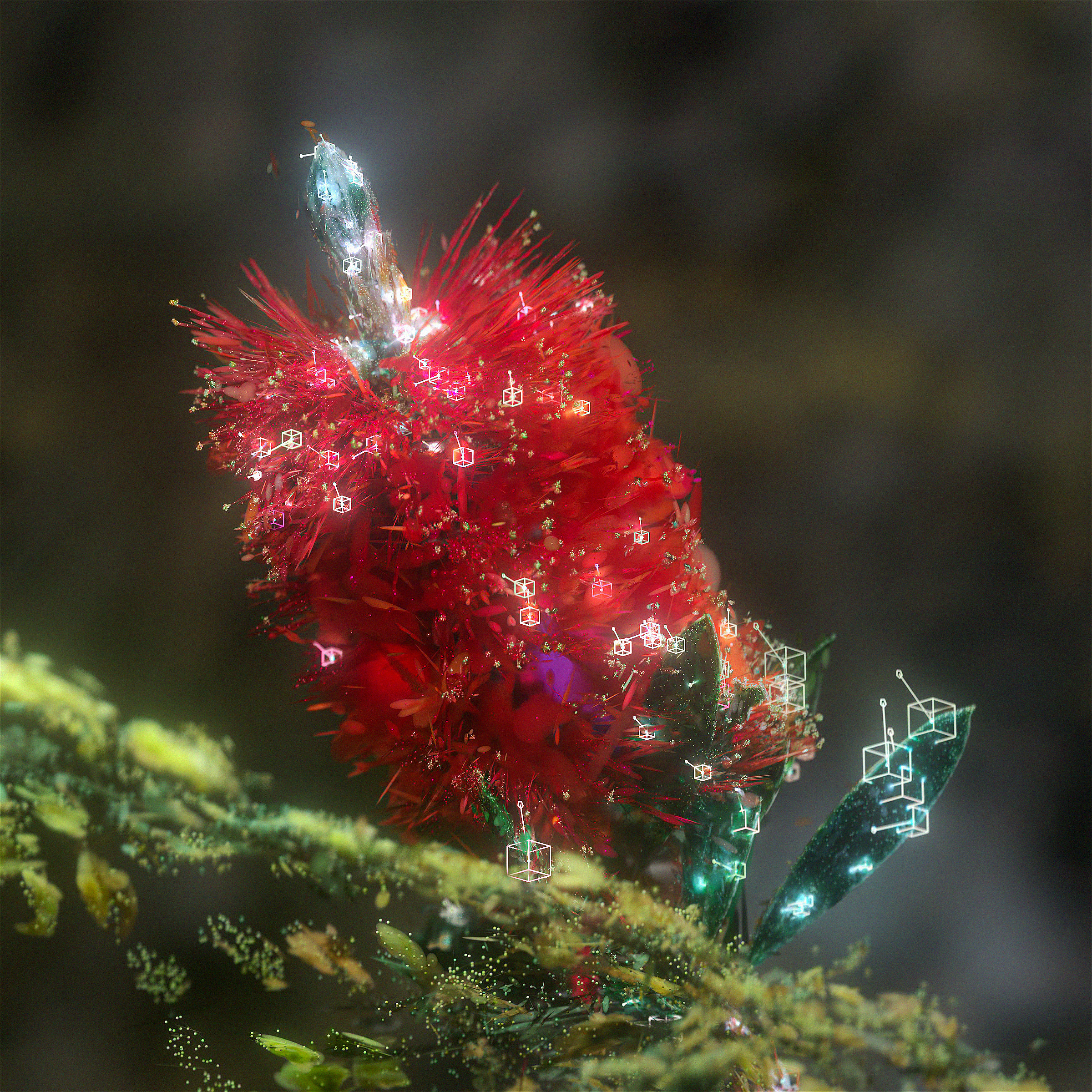 A_Conversation_Between_Trees_F_S04-Atmos-Macro_2.Square_02.0876 (00000).png