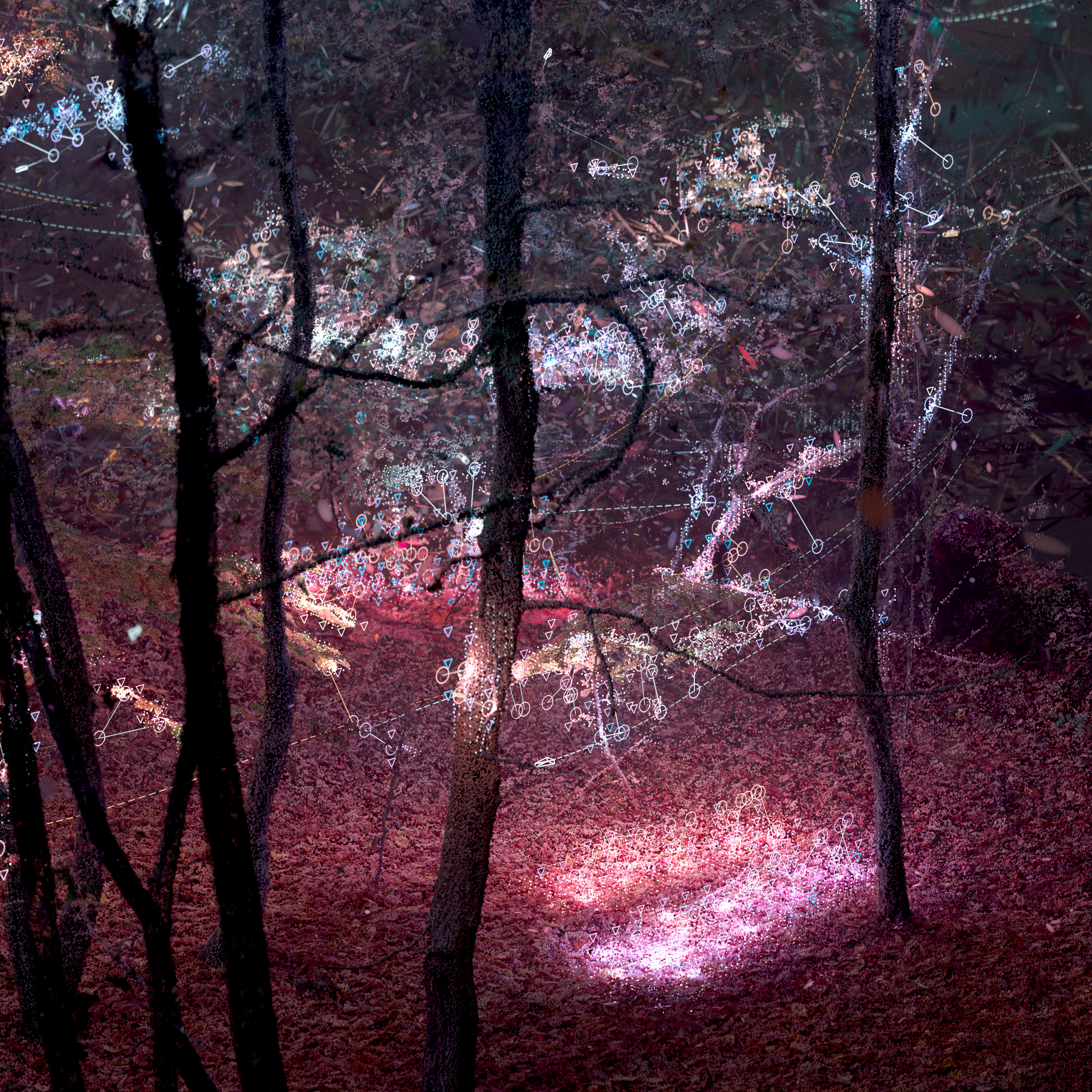 A_Conversation_Between_Trees_F_S02-Atmos.Square_01.1068 (00000).png
