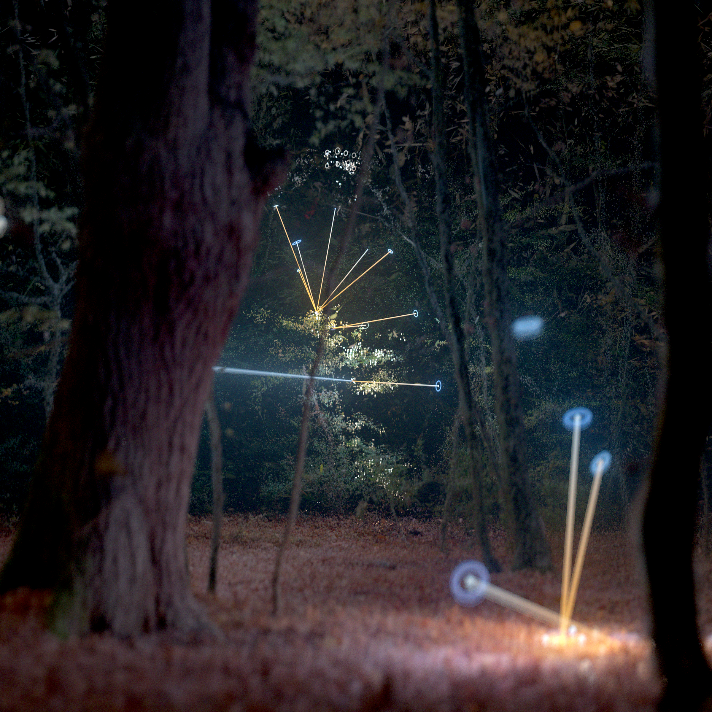A_Conversation_Between_Trees_F_S06-Atmos.Square_02.1648 (00000).png
