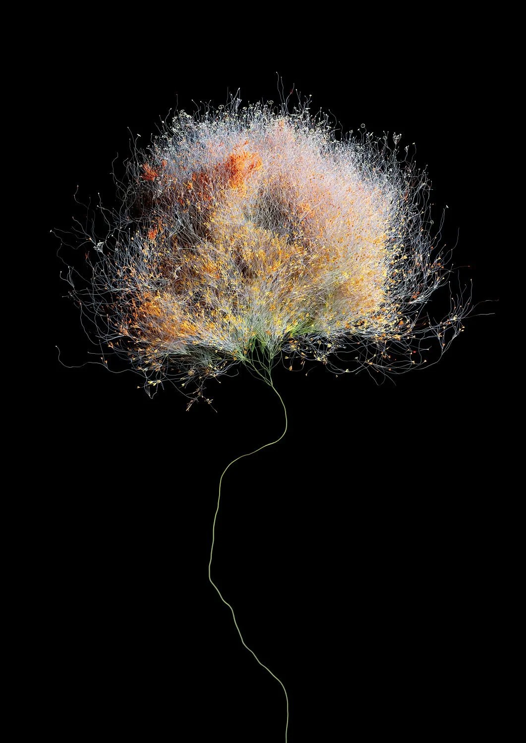 artwork_6aa8607a.jpg