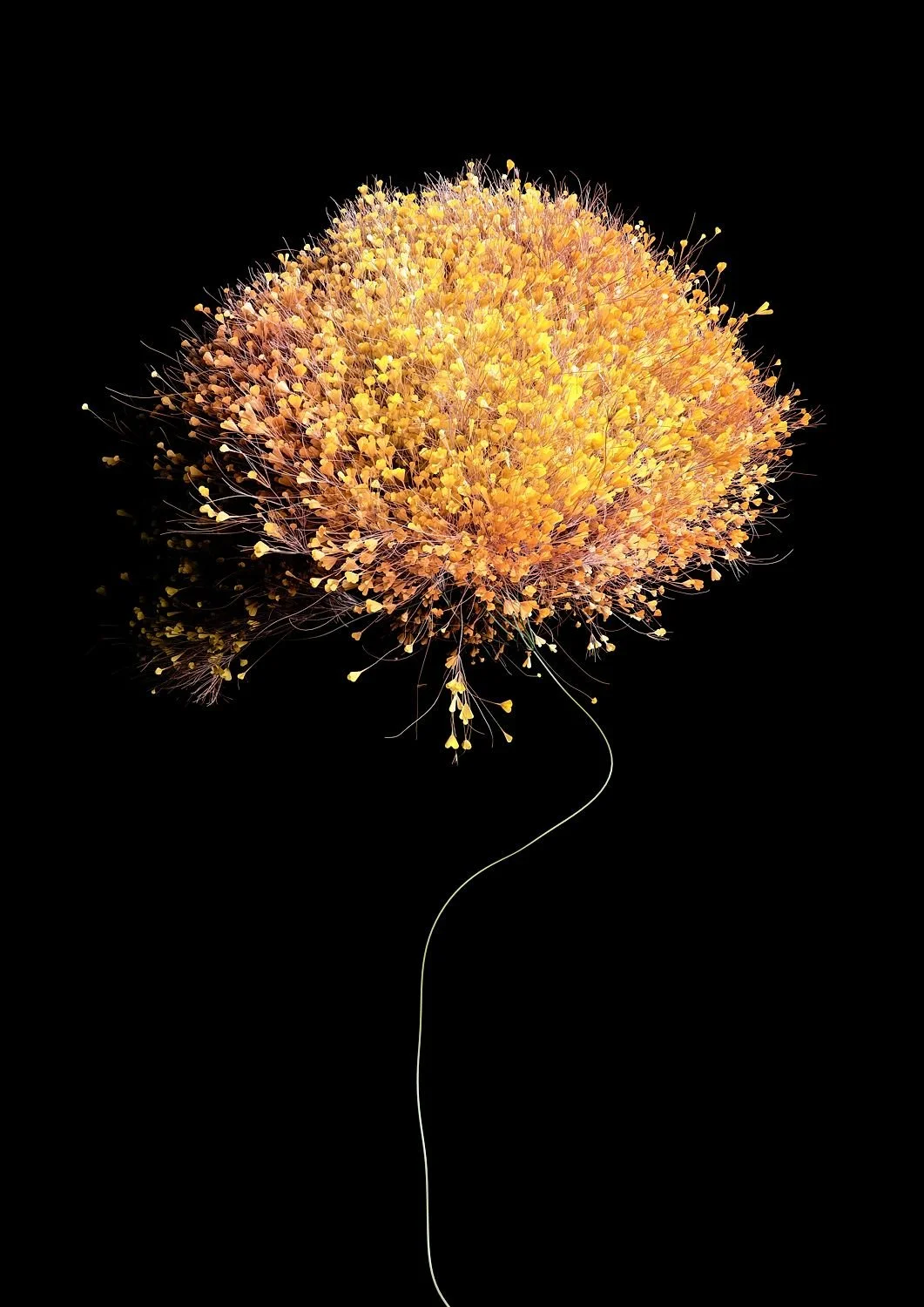 artwork_6aa860ef.jpg
