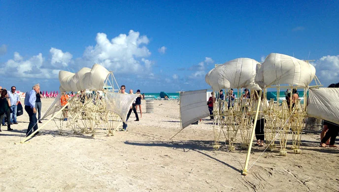STRANDBEESTS IN MIAMI