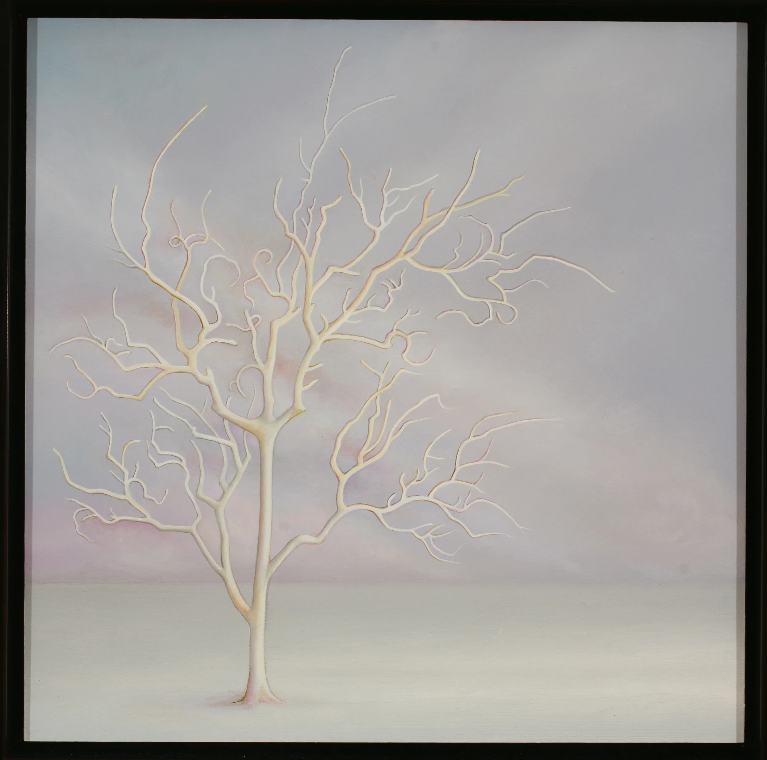 The Snowfall Is So Silent 