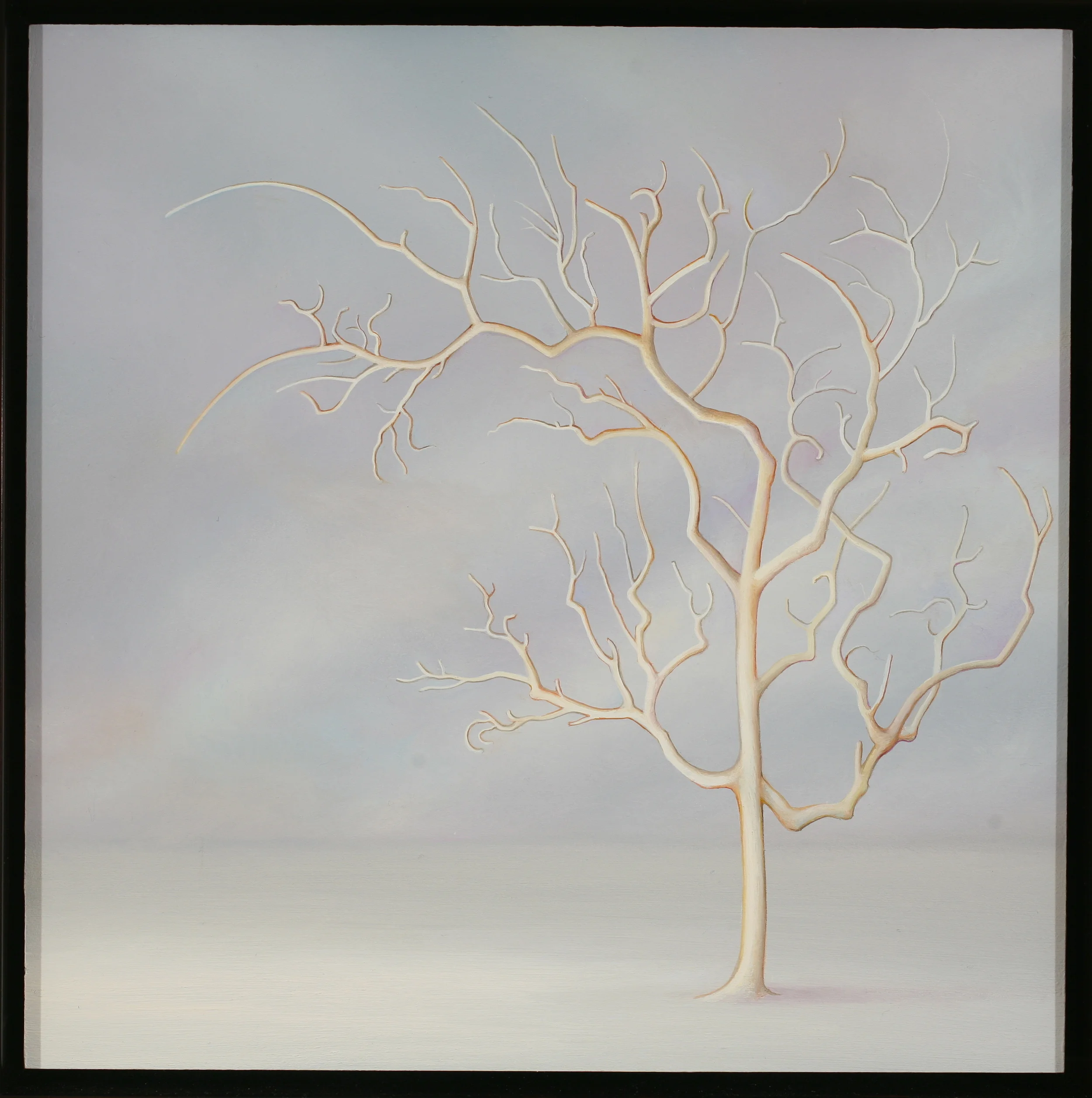 The Snowfall Is So Silent