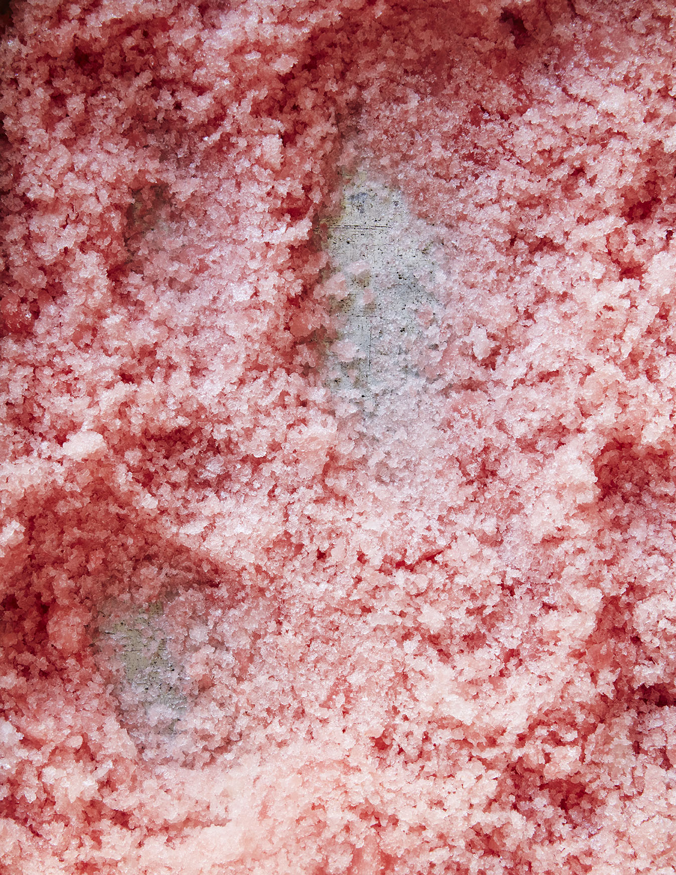 Summer_Watermelon_Granita_Cocktail_006.jpg