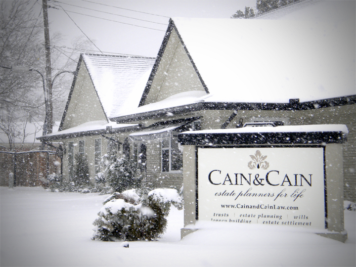 Snow_2010.jpg
