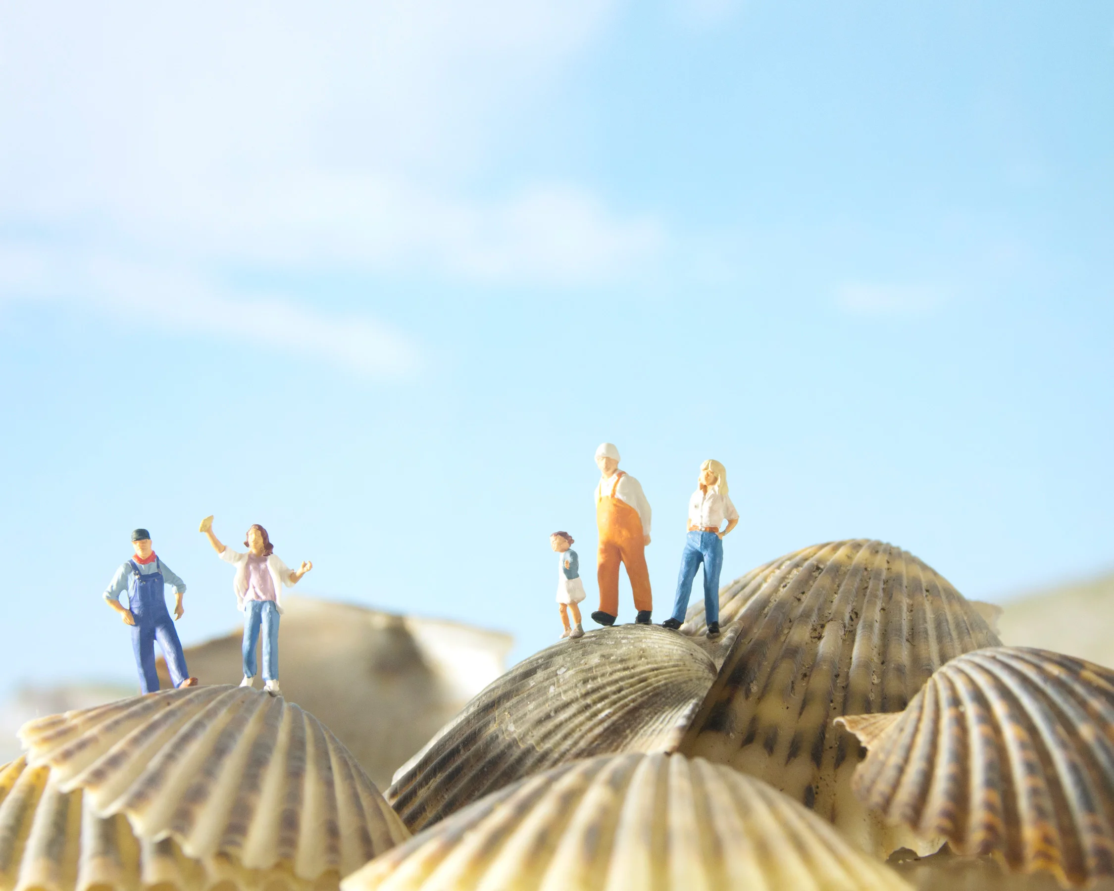 CARDEN_FARM_FAMILIES_09.jpg