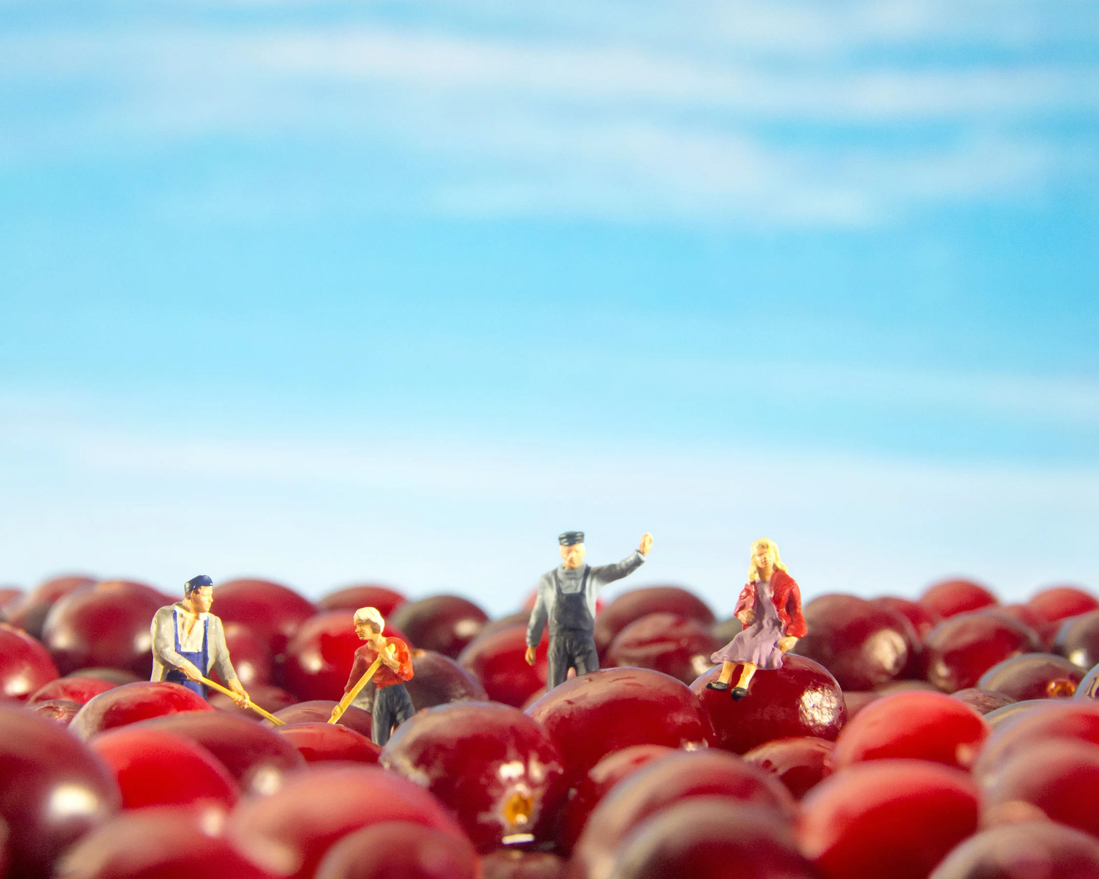 CARDEN_FARM_FAMILIES_11.jpg