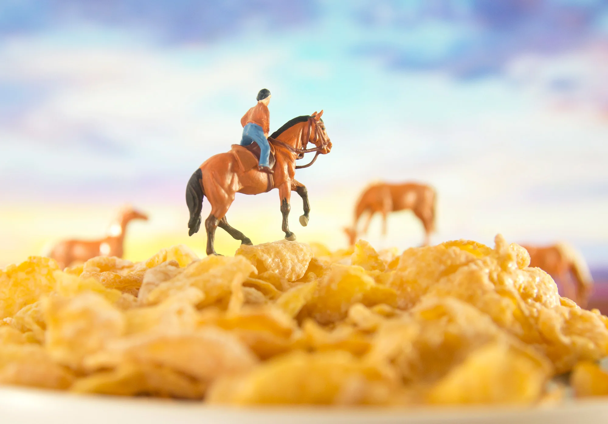 CARDEN_BREAKFAST_11.jpg