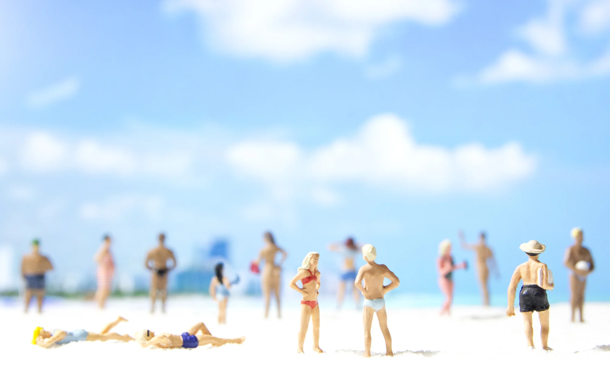 carden_miami08.jpg