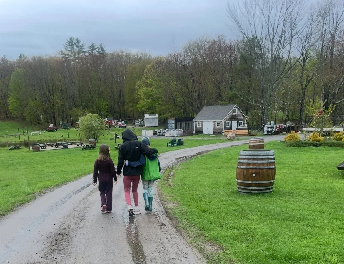 SED 539: Growth in Slo-Mo