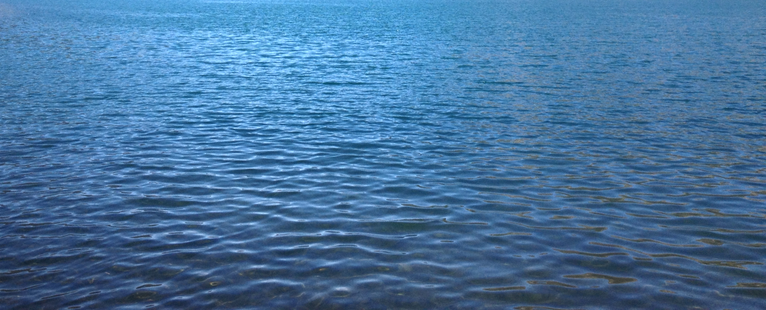 Image3.png