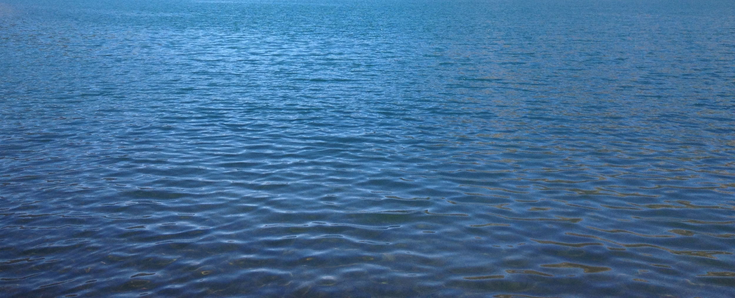 Image3.png