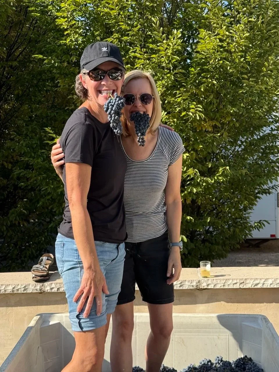 Two women standing outdoors in front of a green leafy background, holding bunches of grapes in their mouths, smiling. One is wearing a black cap, sunglasses, black t-shirt, and light blue shorts. The other is wearing sunglasses, a striped t-shirt, and black shorts. There is a container with grapes at their feet and a small glass with a beverage on the ledge behind them.