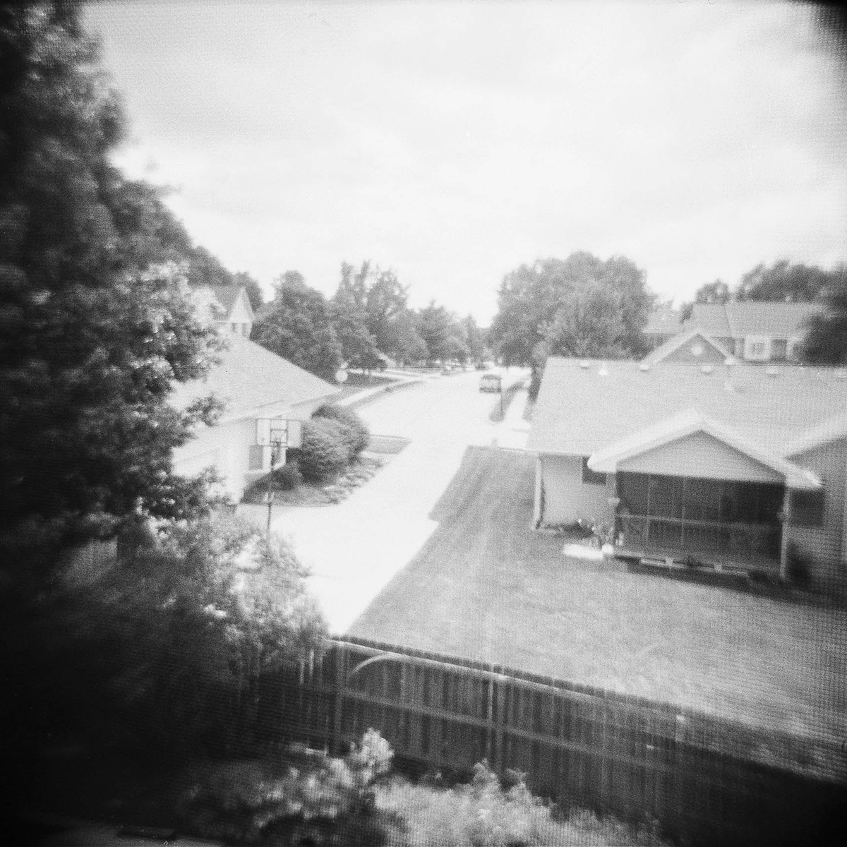 holga2014_backyard.png