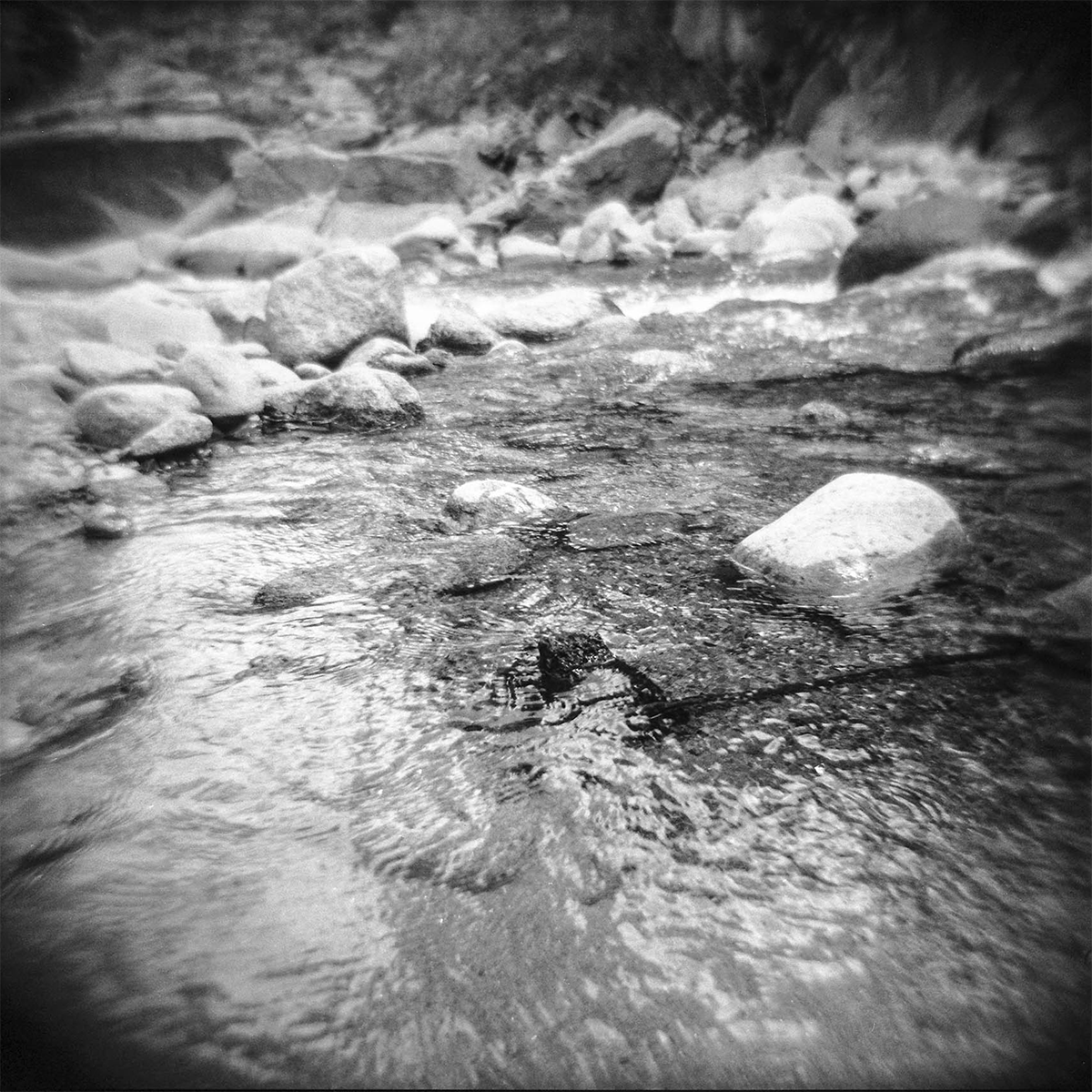 holga2014_colorado_2 copy.png