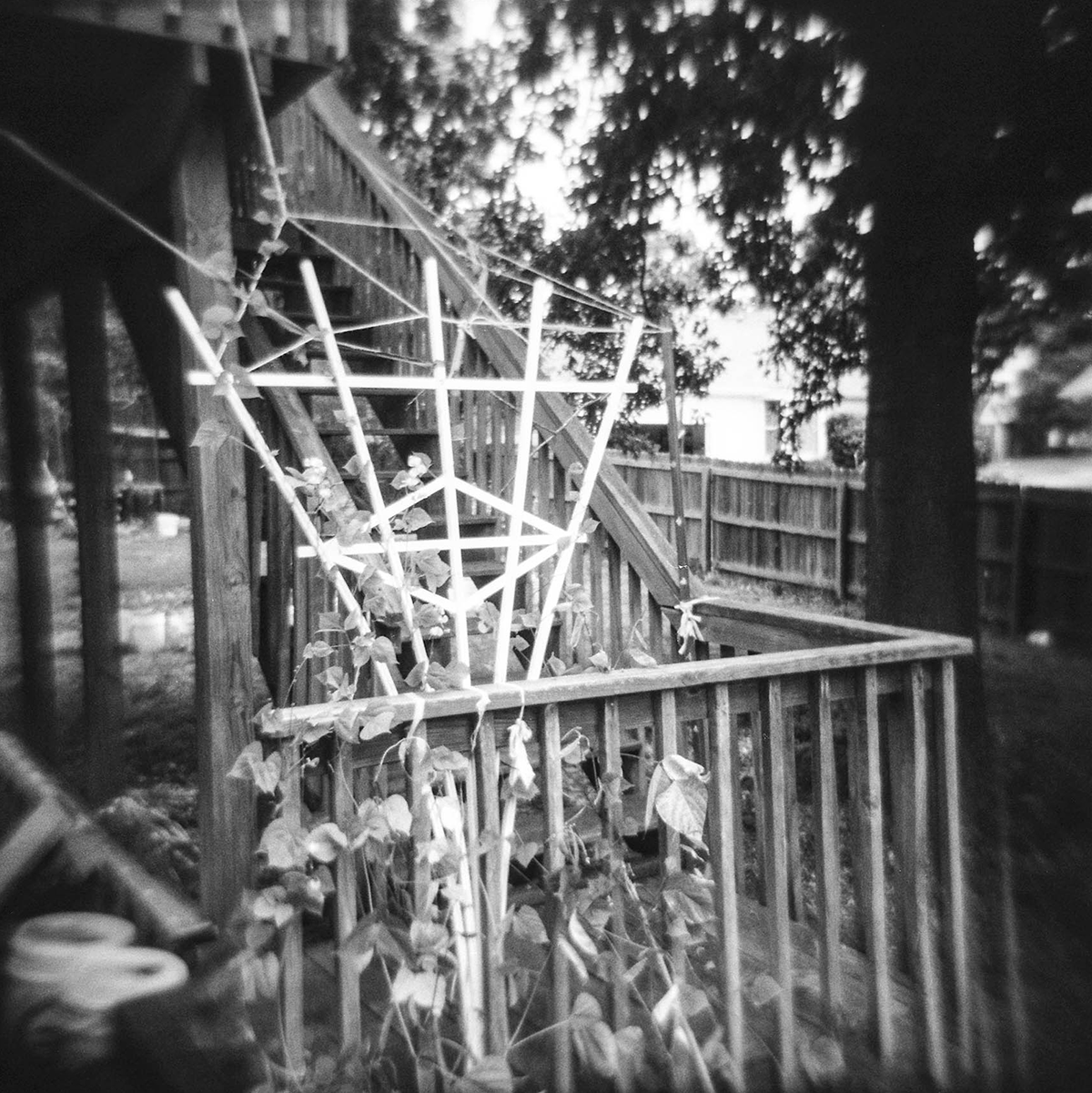 holga2014_yard_3.png