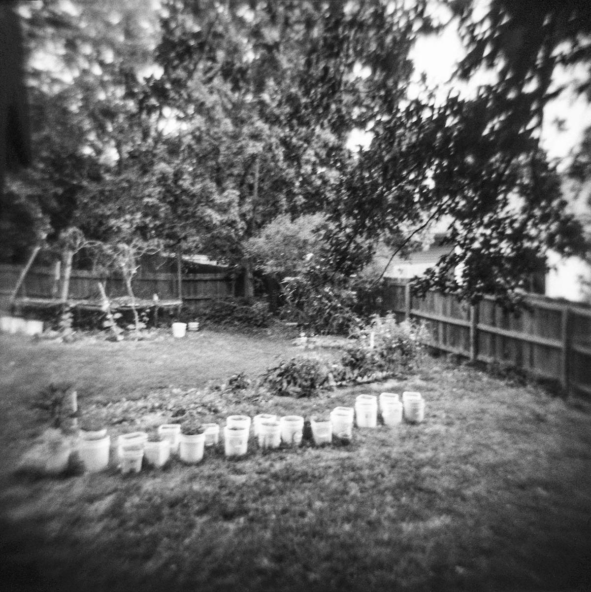 holga2014_yard_4.png