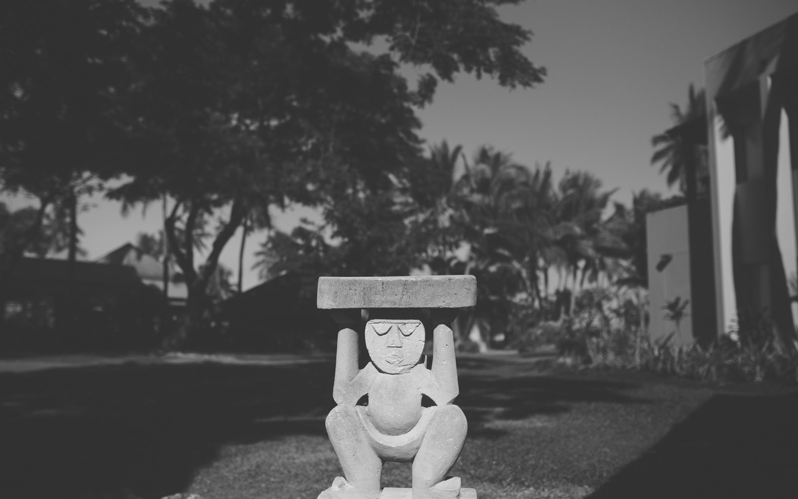 0P6A8221-2.jpg