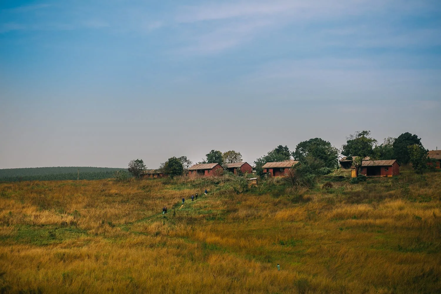 0P6A5094.jpg
