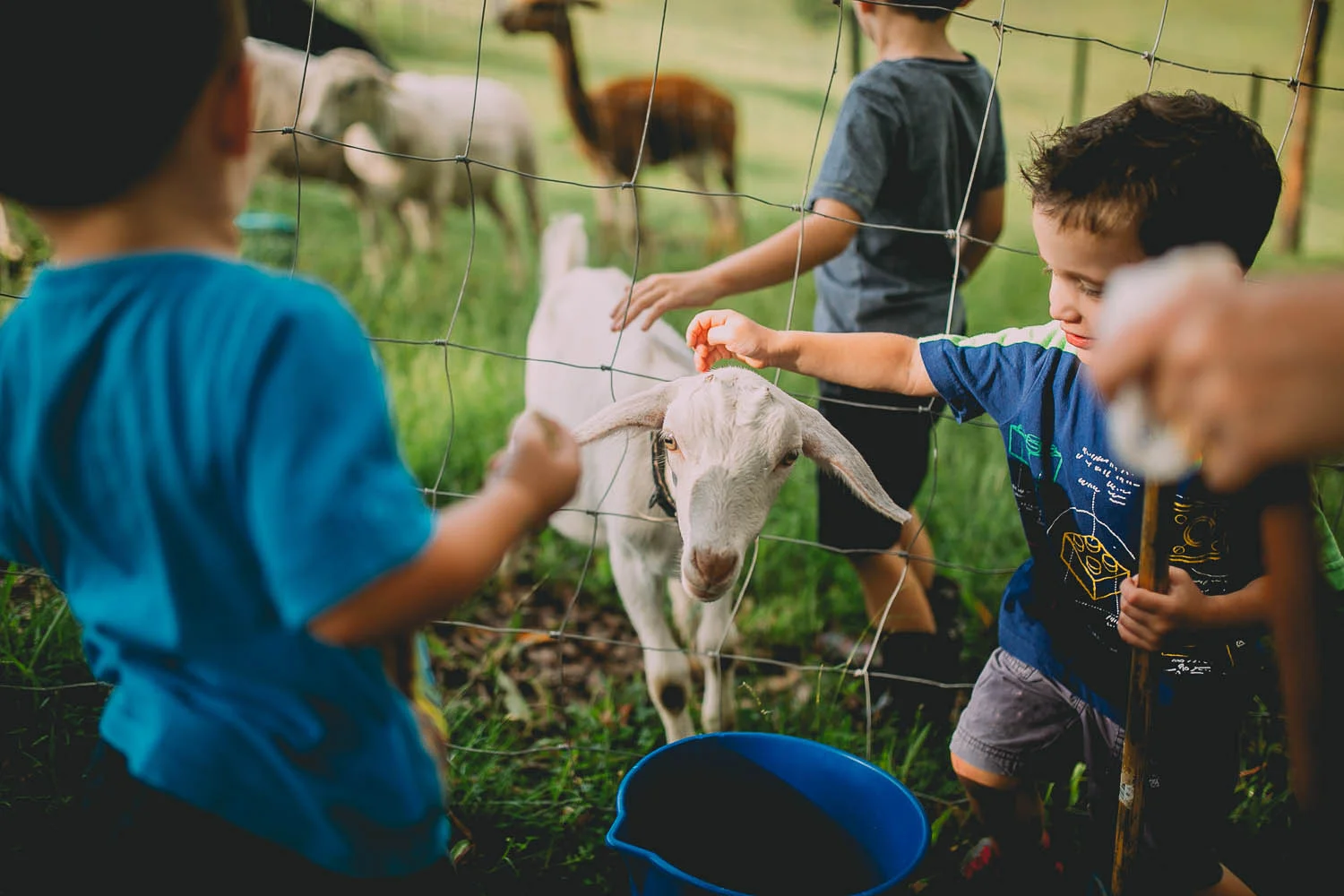 Appreciating the little things  - Mornings With Me - Central Coast Family Photography 