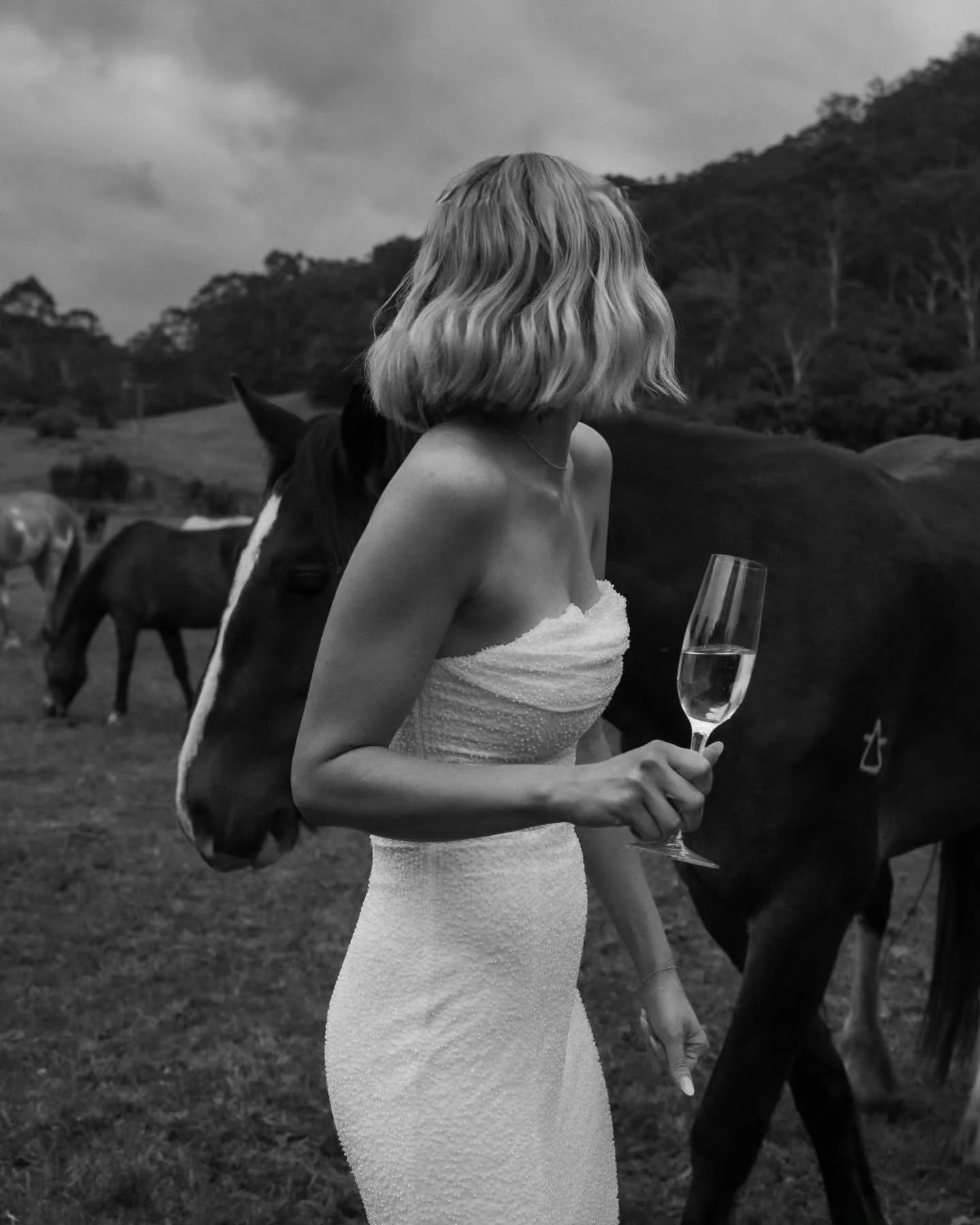 Millie &amp; Mic - a sweet elopement 🤍

@glenworthvalleyweddings