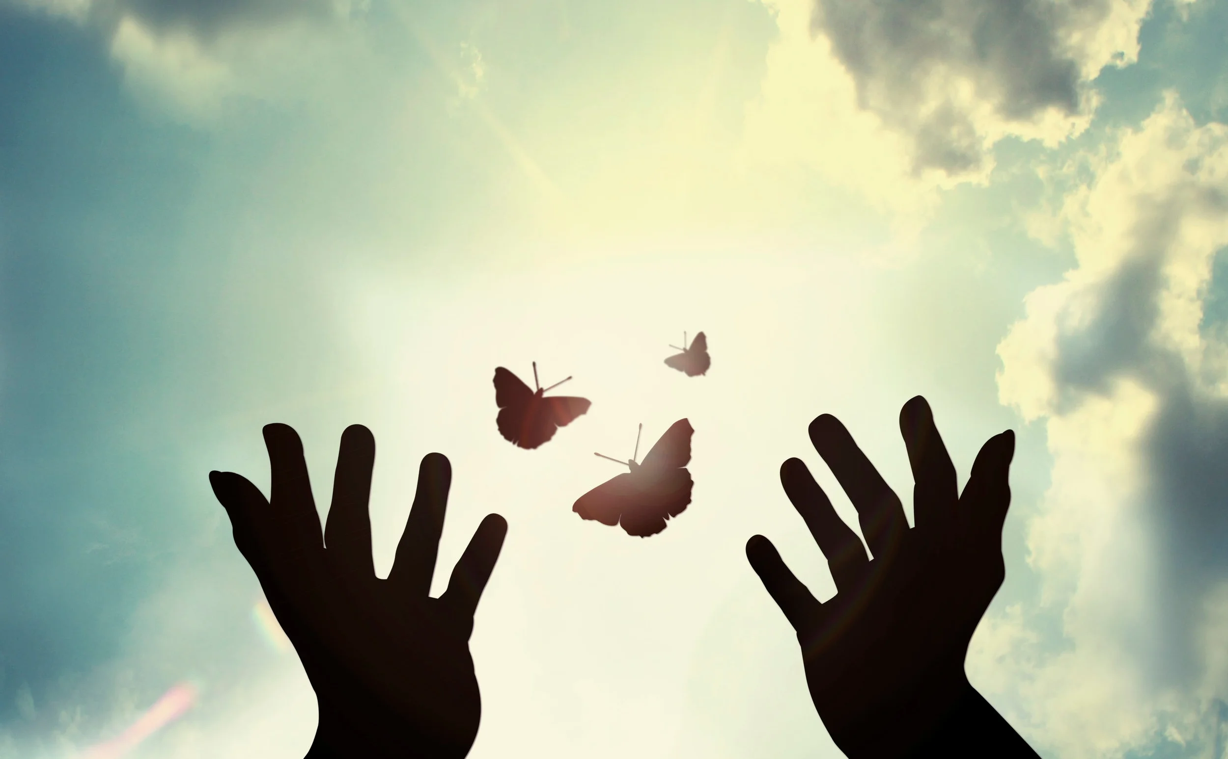 iStock_000036084426_Full.jpg