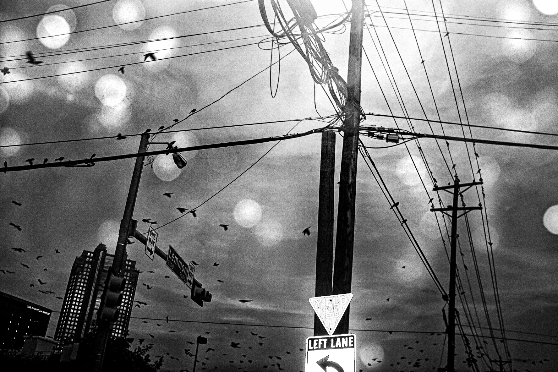 Metropolis-19.jpg