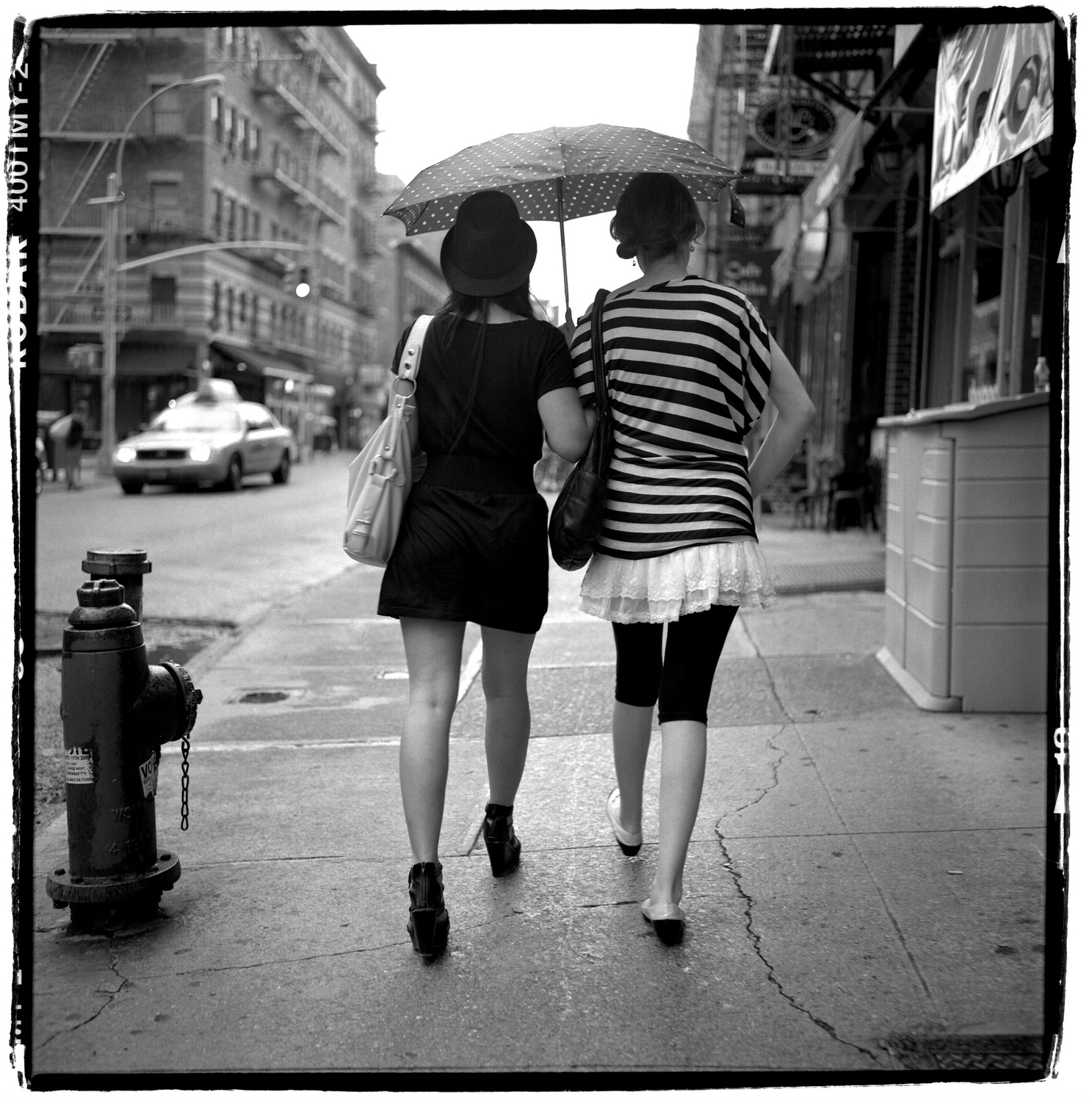 umbrella.jpg