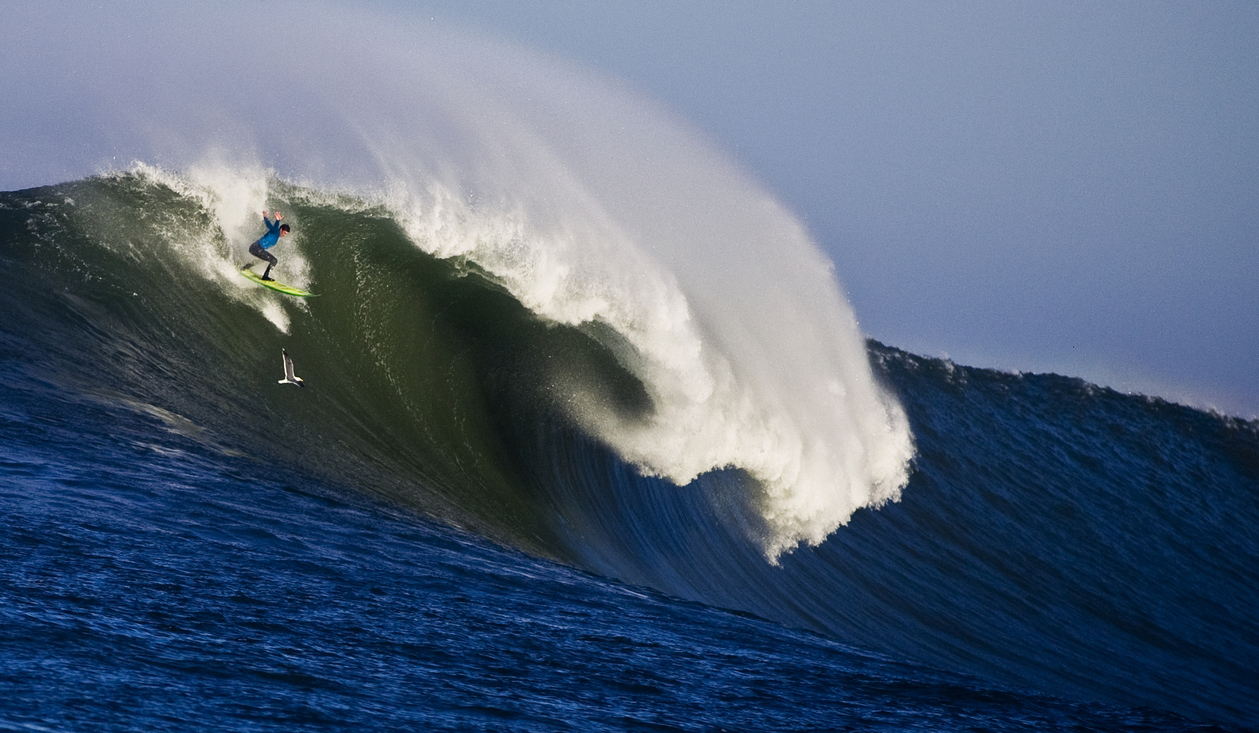   Mavericks surf contest - Pillar Point, CA  