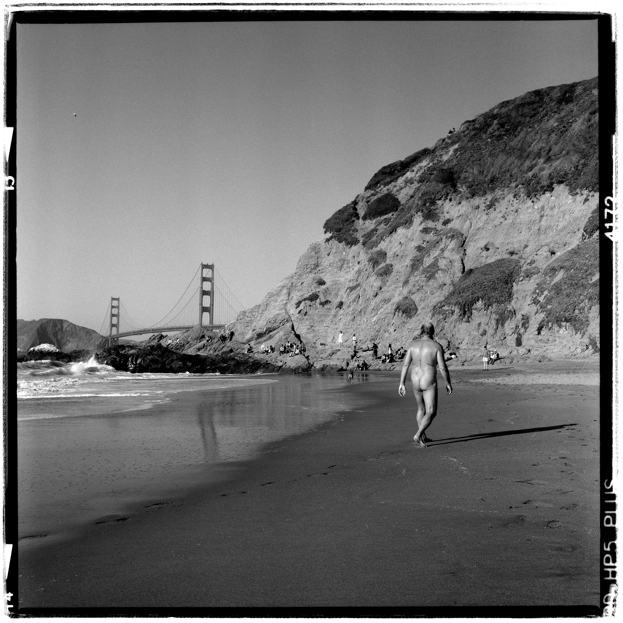 Beach Bear - Baker Beach, San Francisco, CA