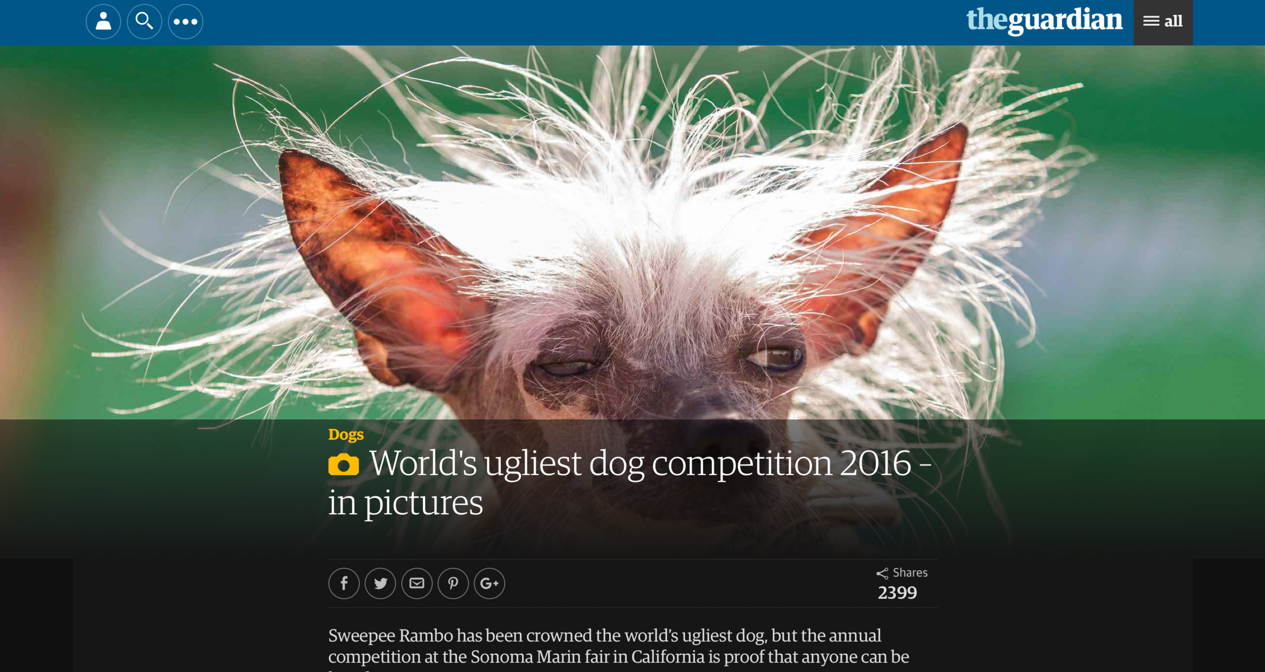 Ugliest Dog Contest - The Guardian