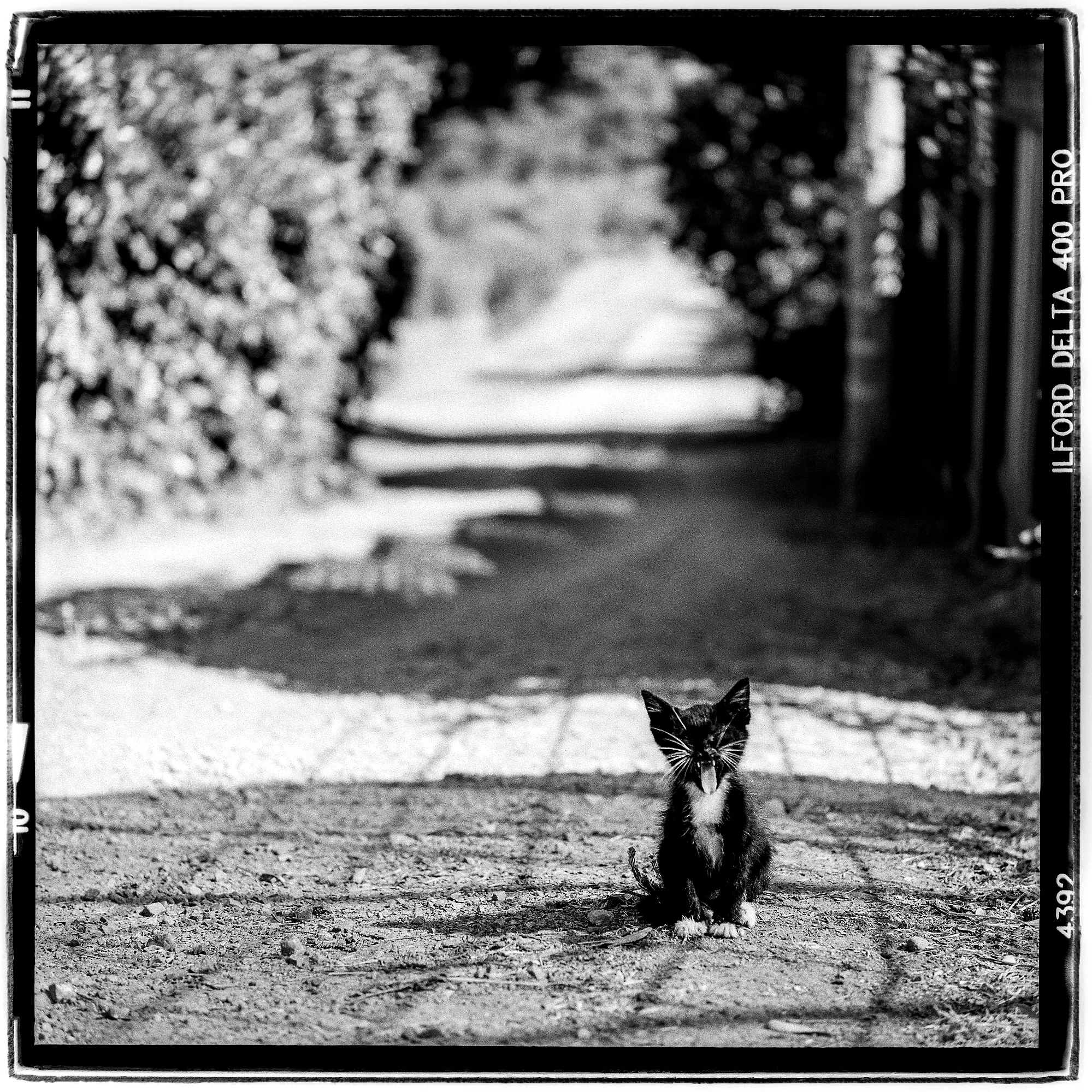 Street life. Petaluma, CA