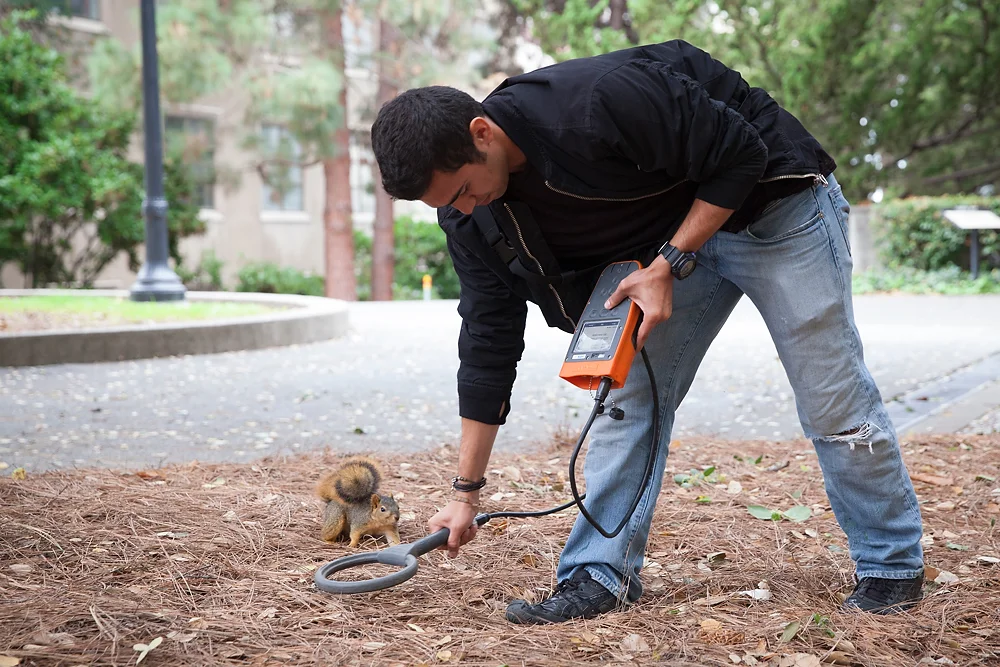 2491266_la-me-uc-berkeley-squirrels-dasilva_07.jpg